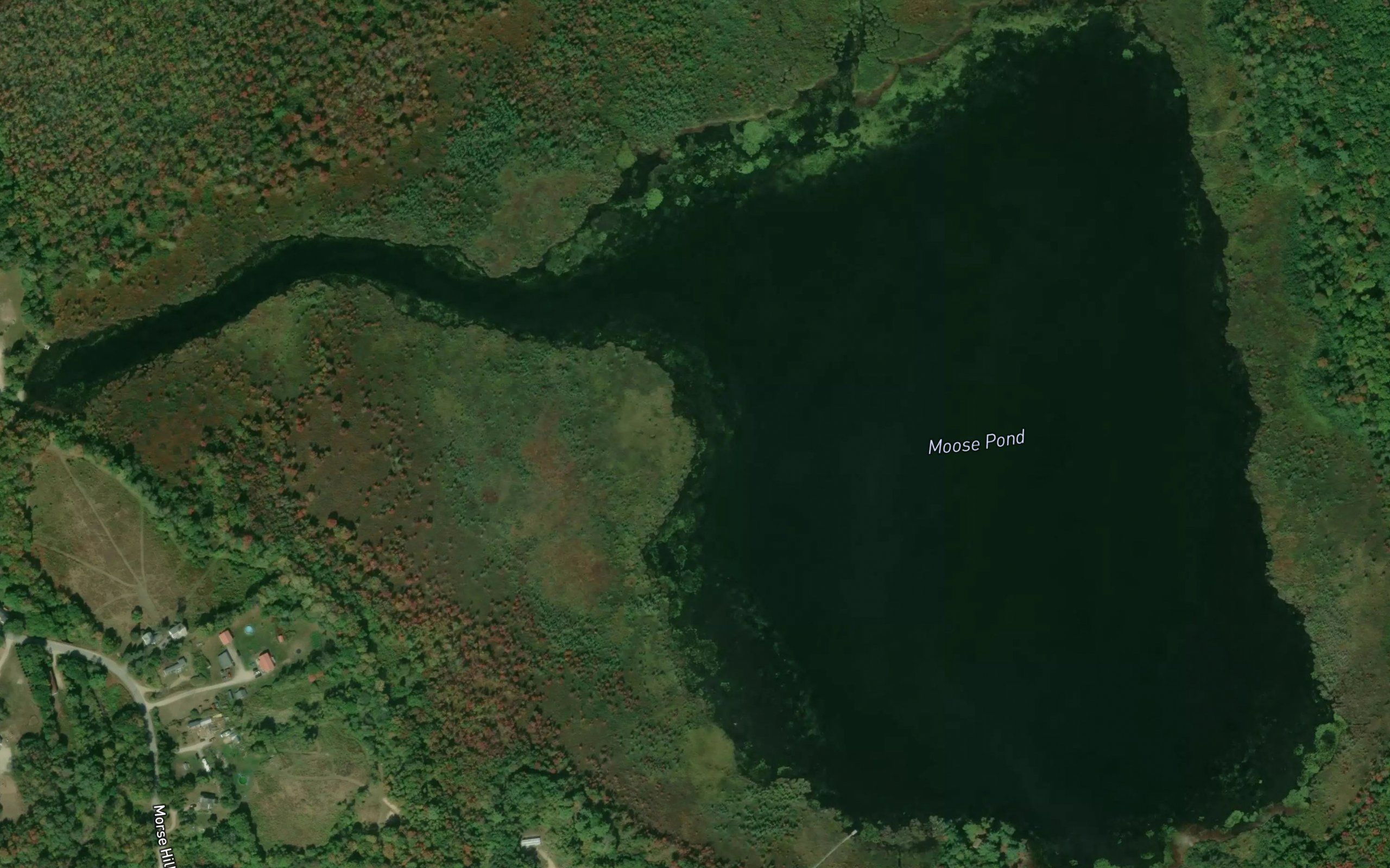 Moose Pond