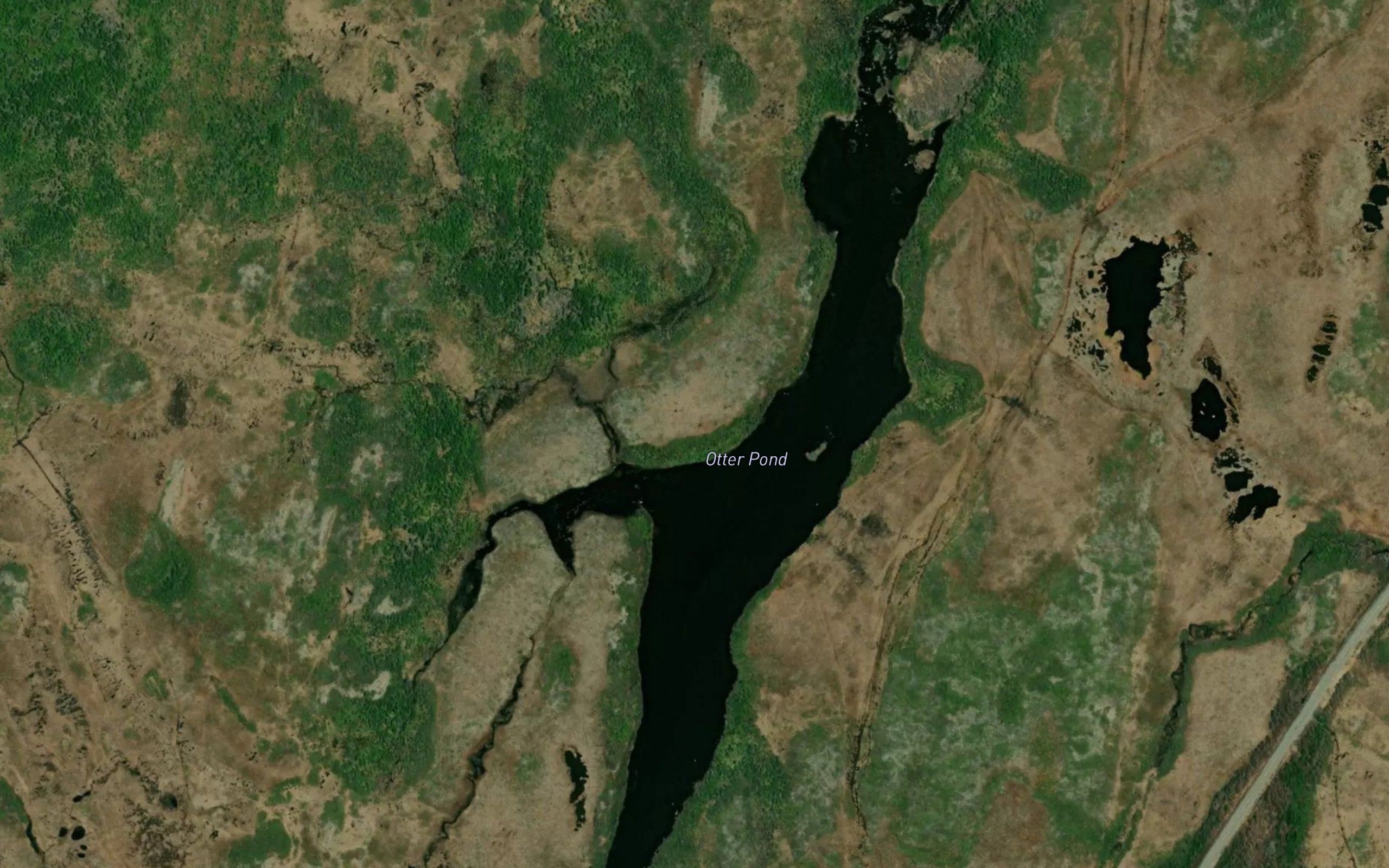 Otter Pond
