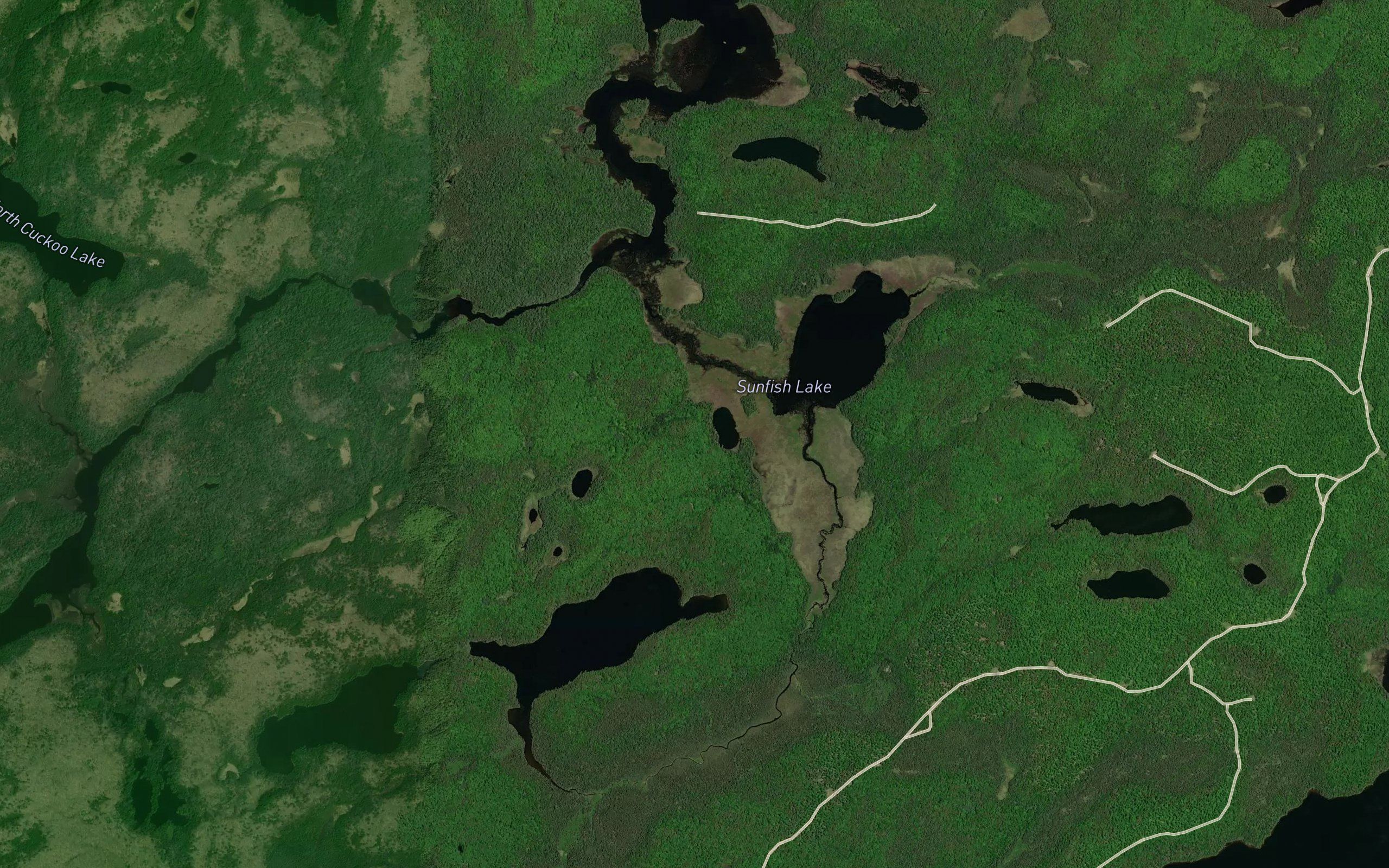 Catfish Rapids
