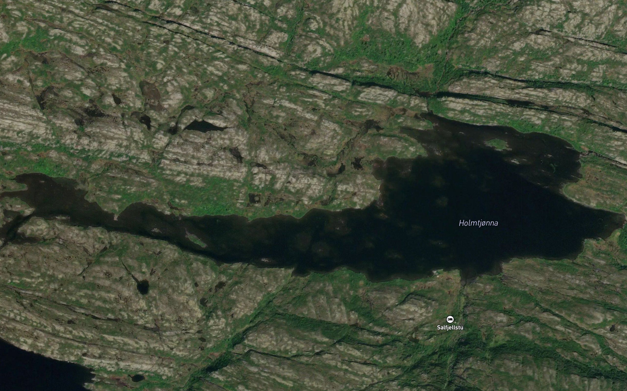 Holmtjorna