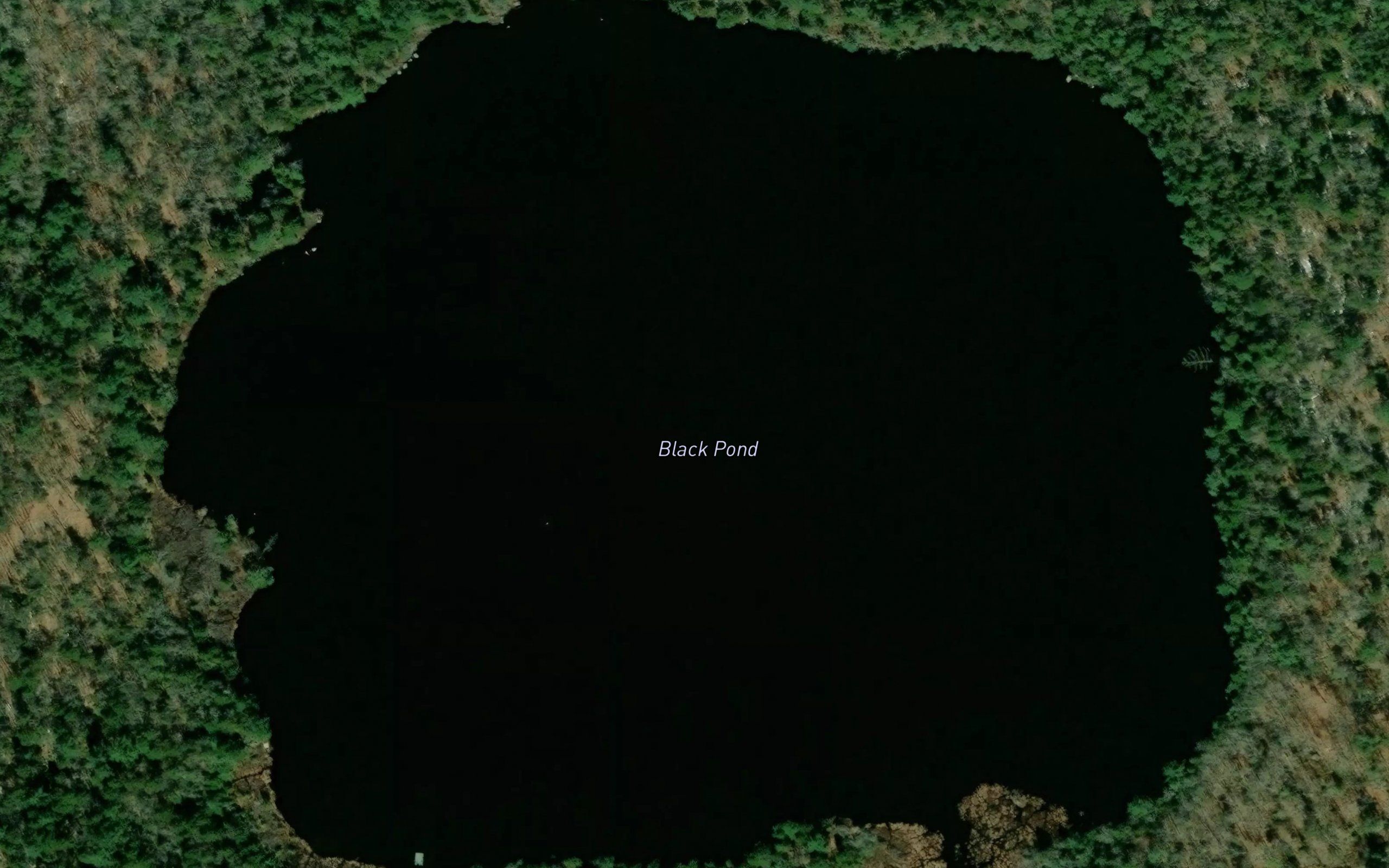 Black Pond
