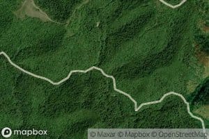 Lower Bearpen Branch