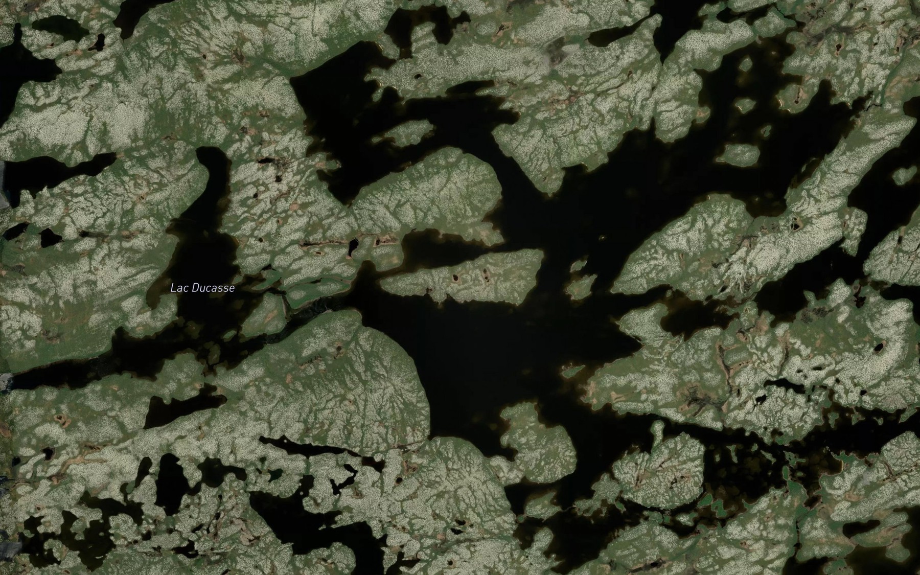 Satellite map of the Lac Ducasse