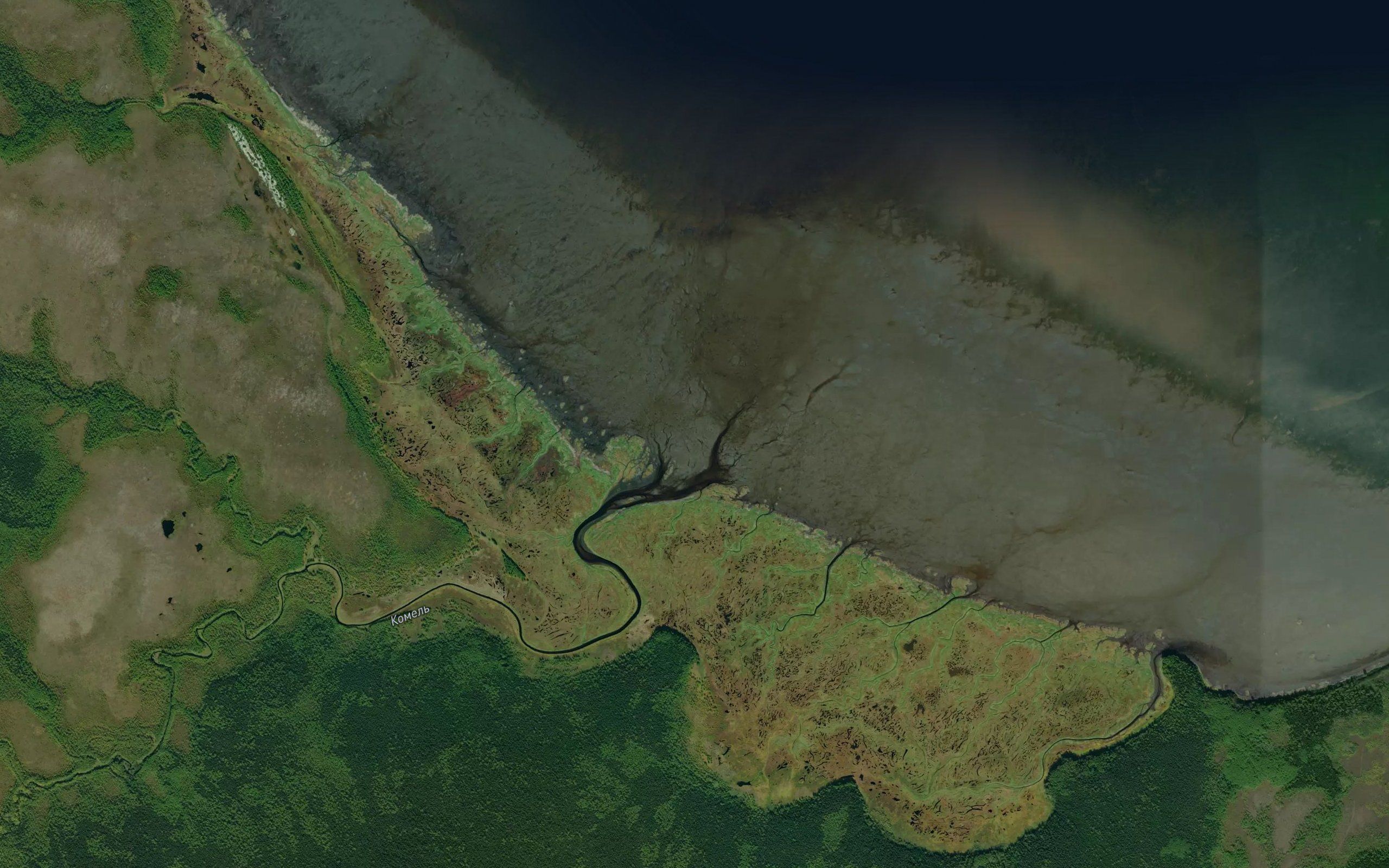 Karknaleva