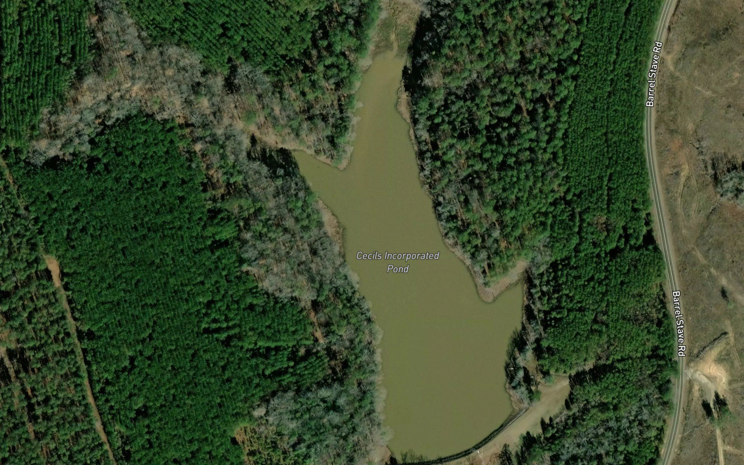 Cecils Incorporated Pond