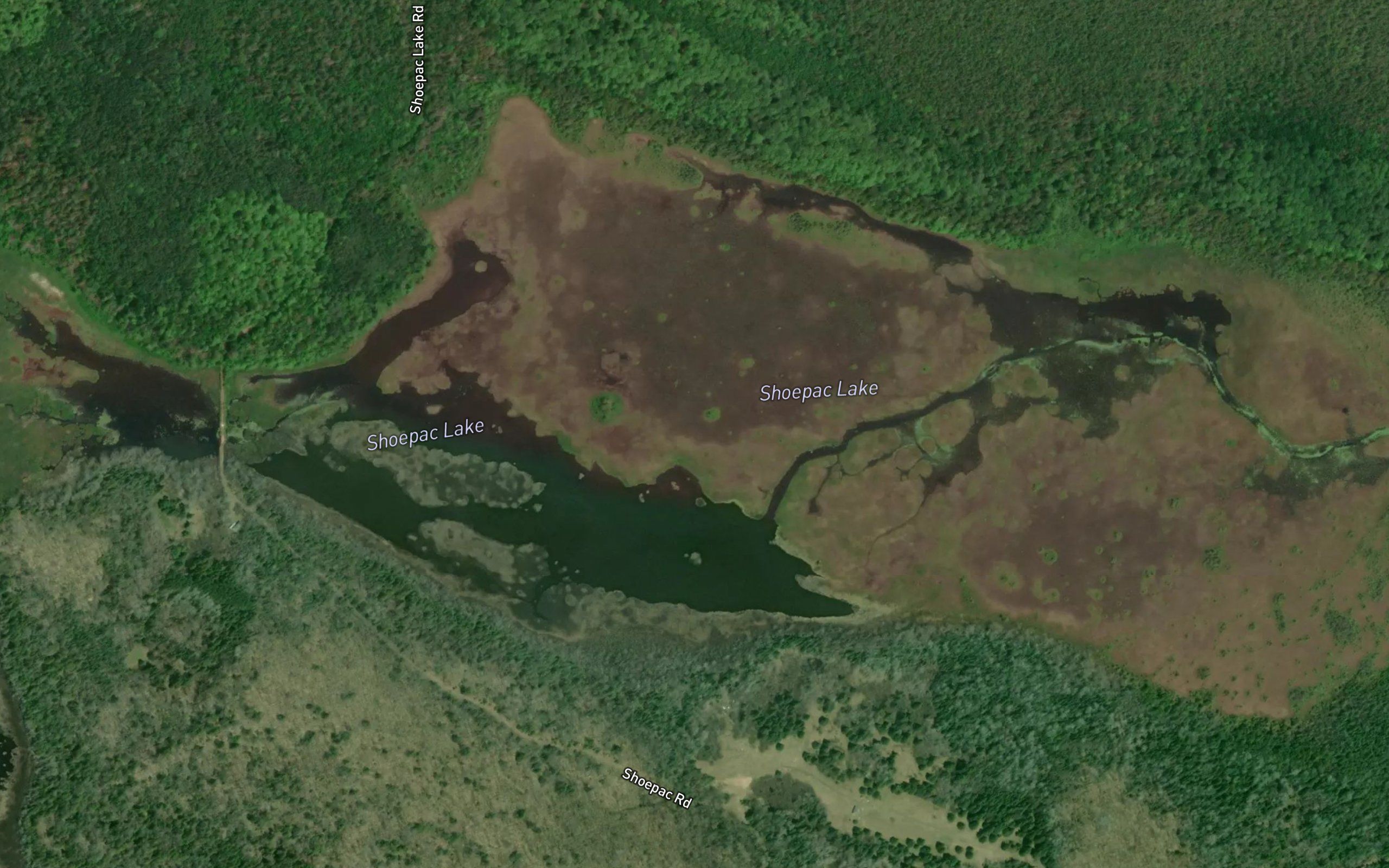 Shoepac Lake