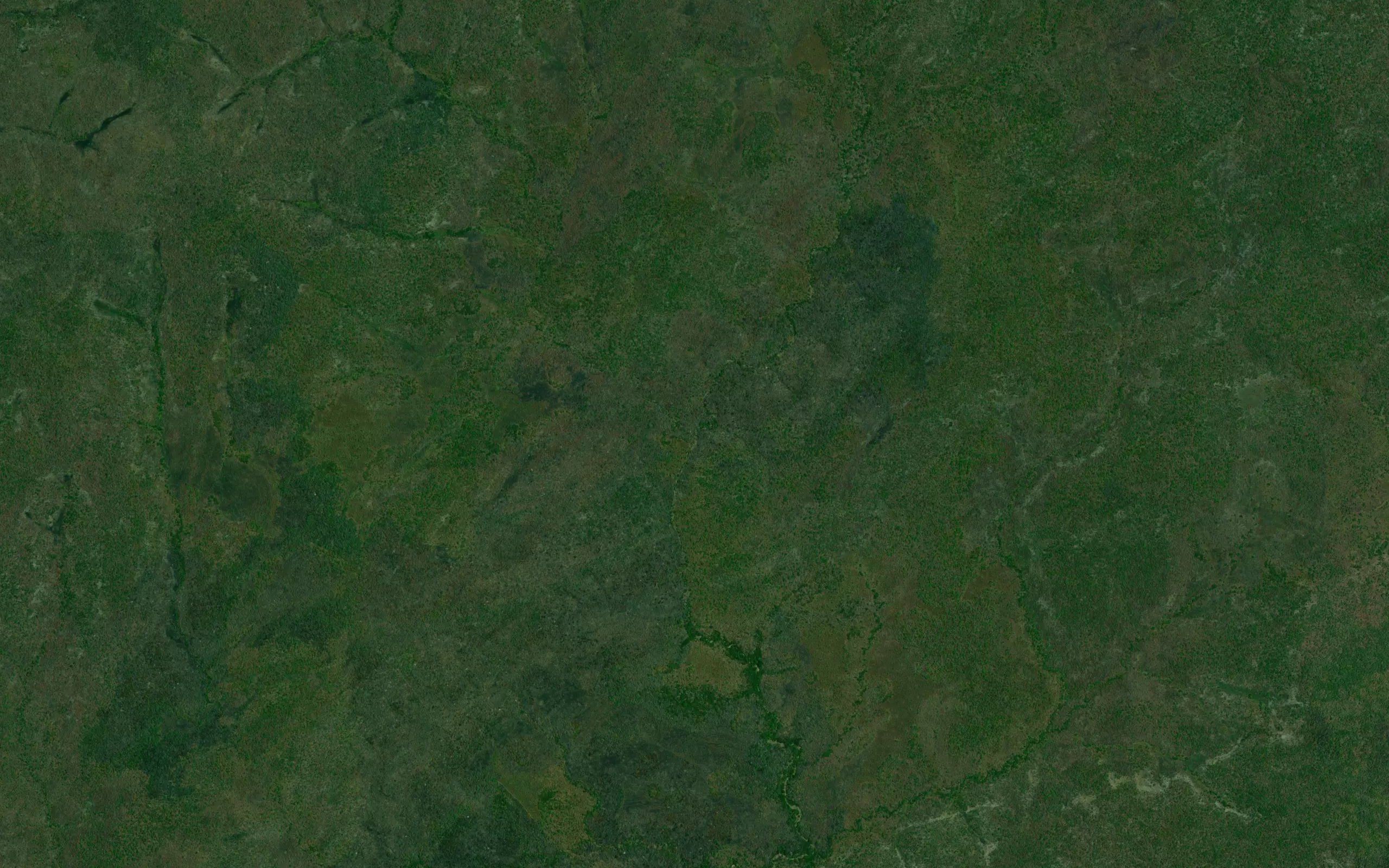 Namipaua