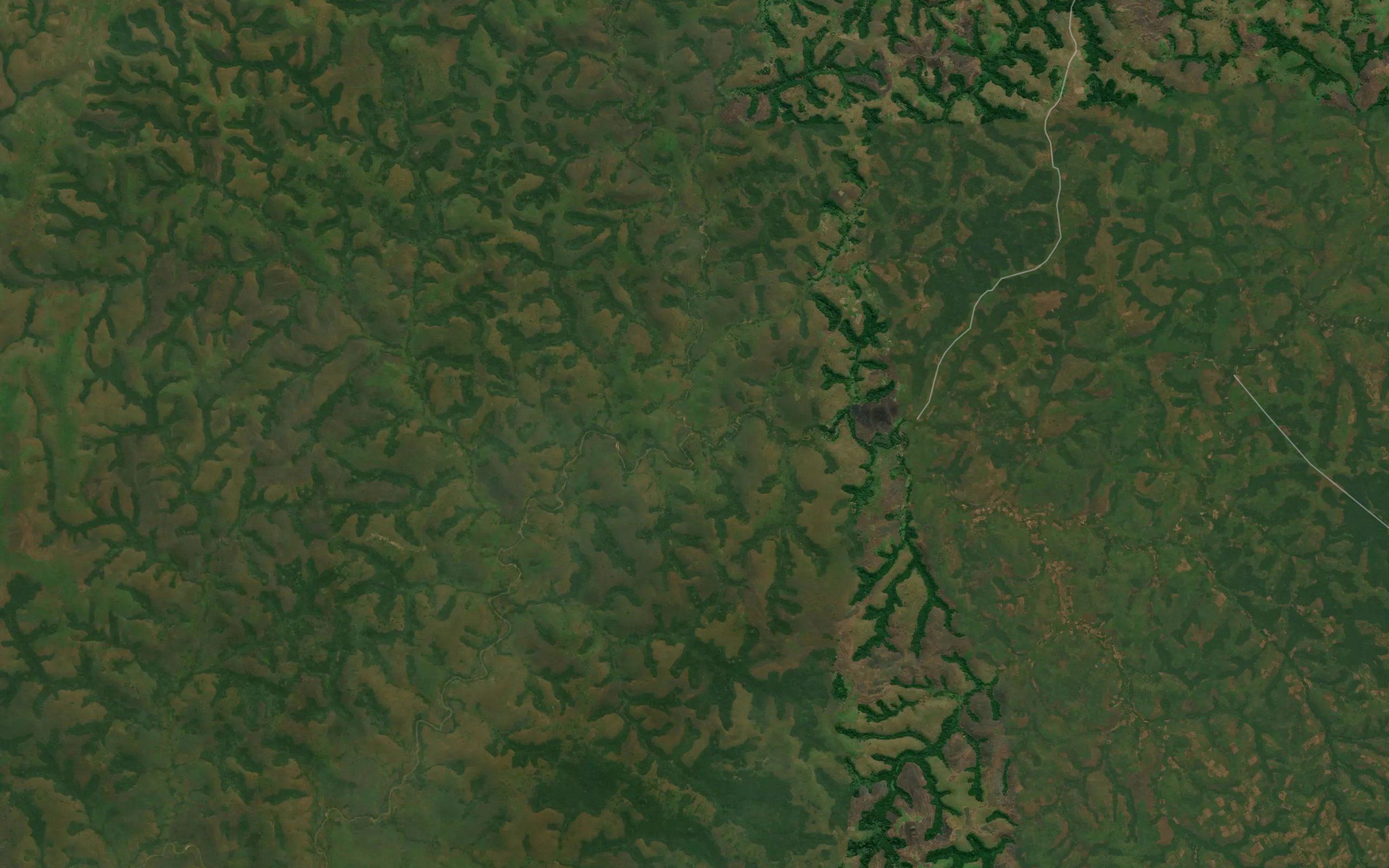 Yamba
