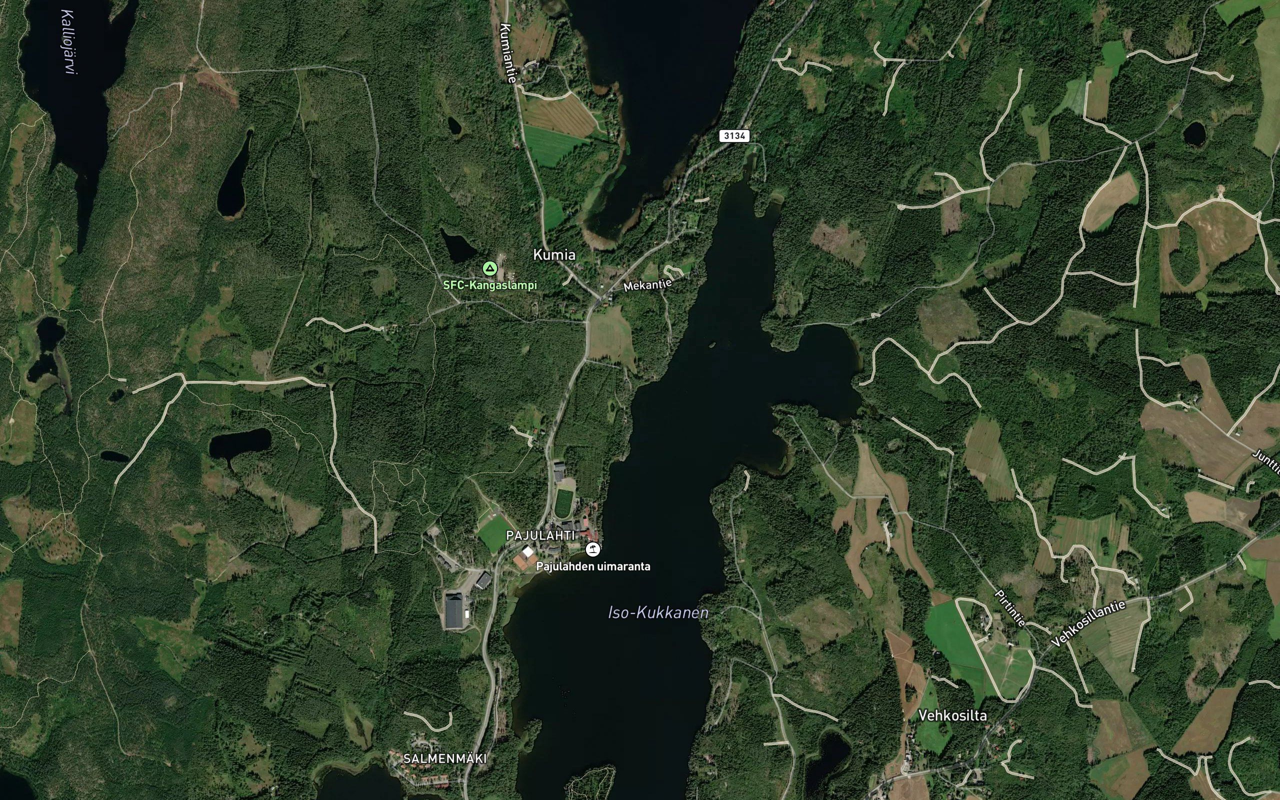 Riihivalkama