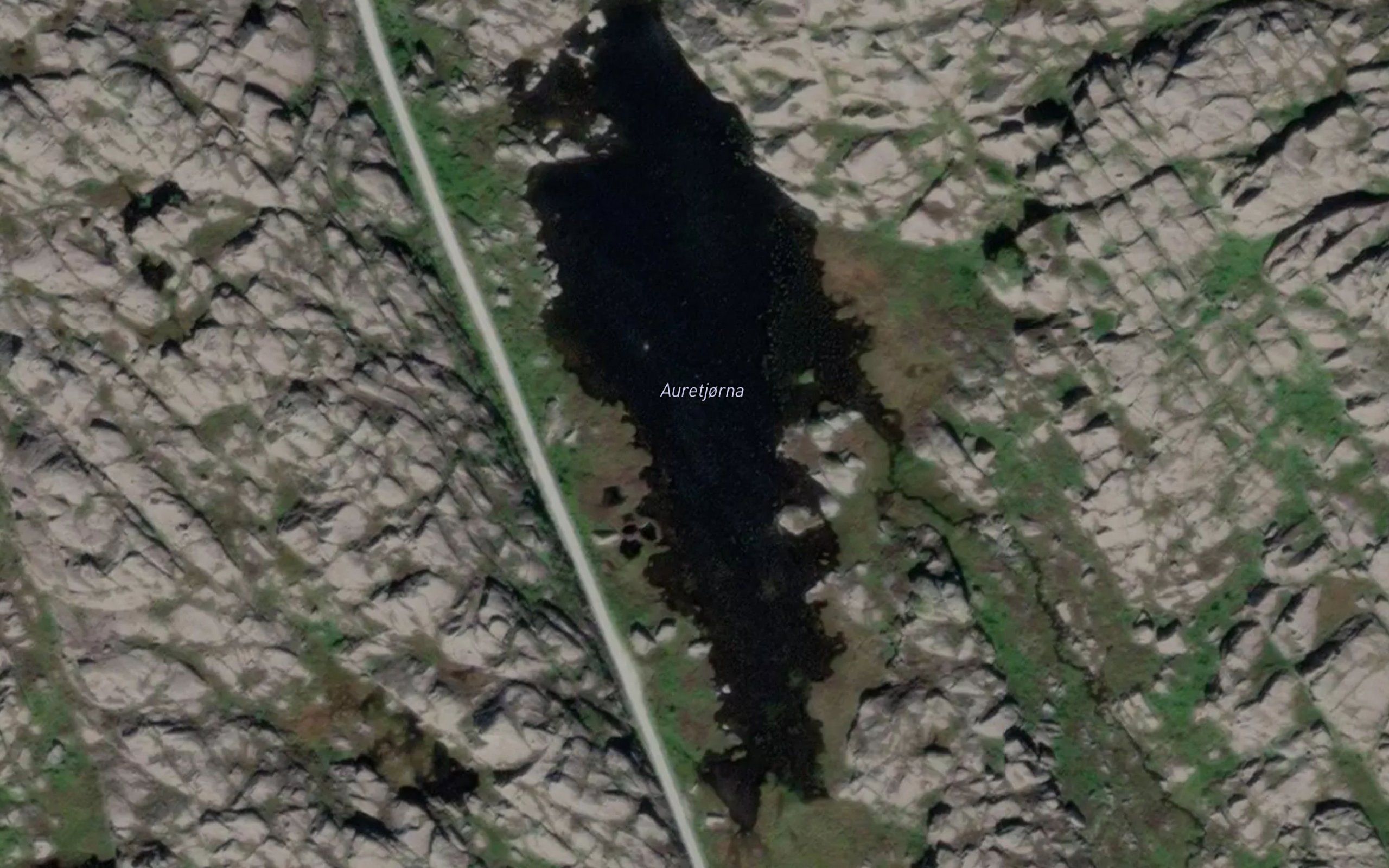Auretjorna