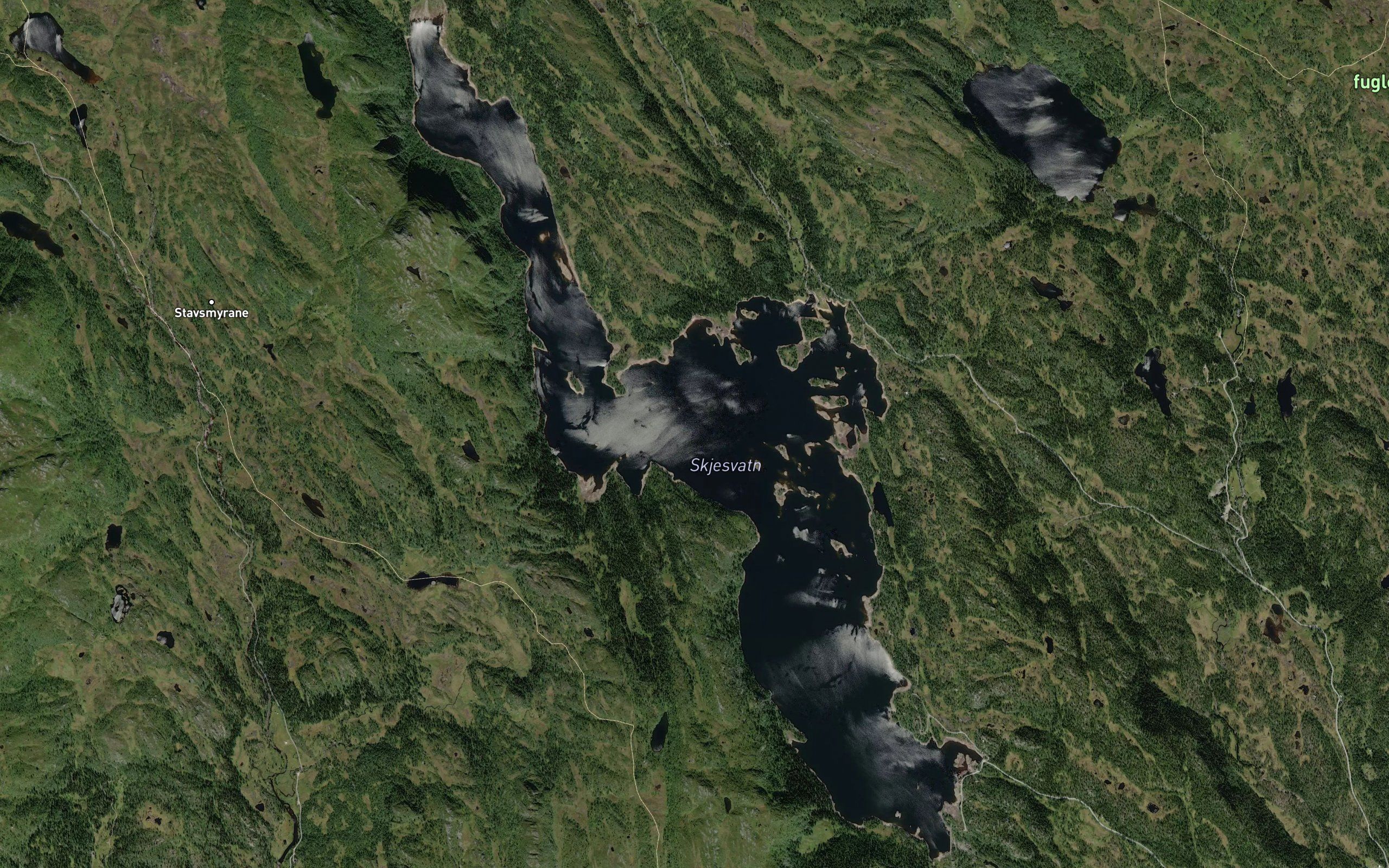 Skjesvatn