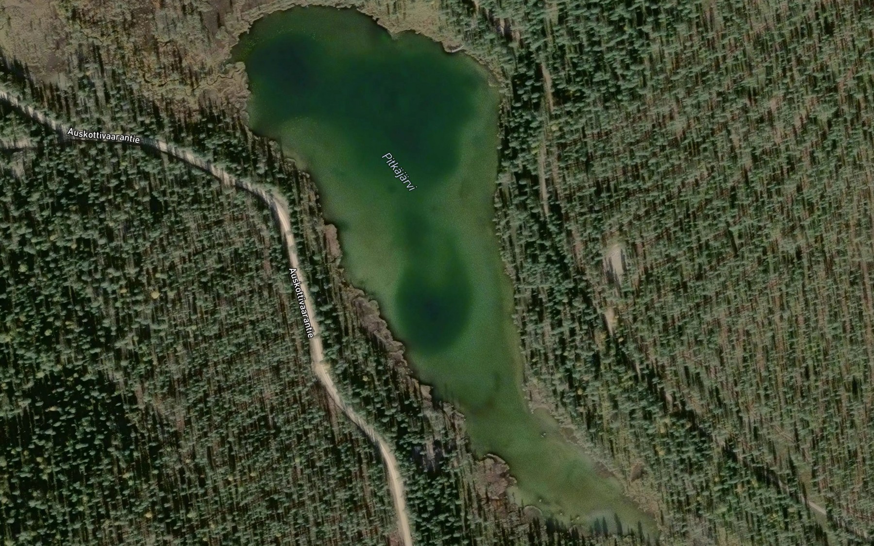 Satellite map of the Pitkajarvi