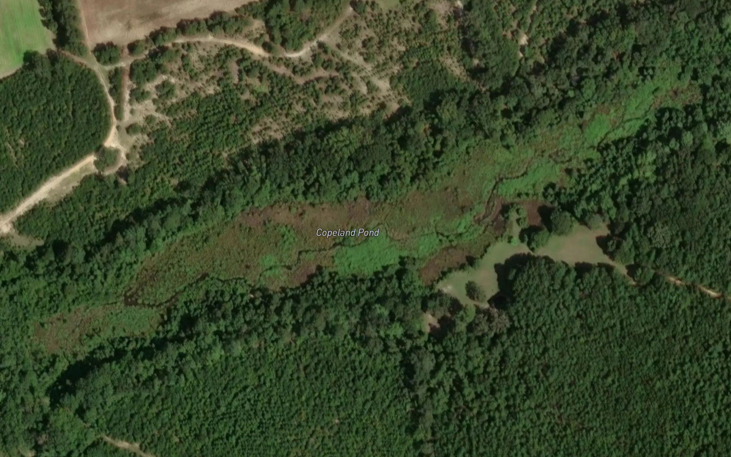 Copeland Pond