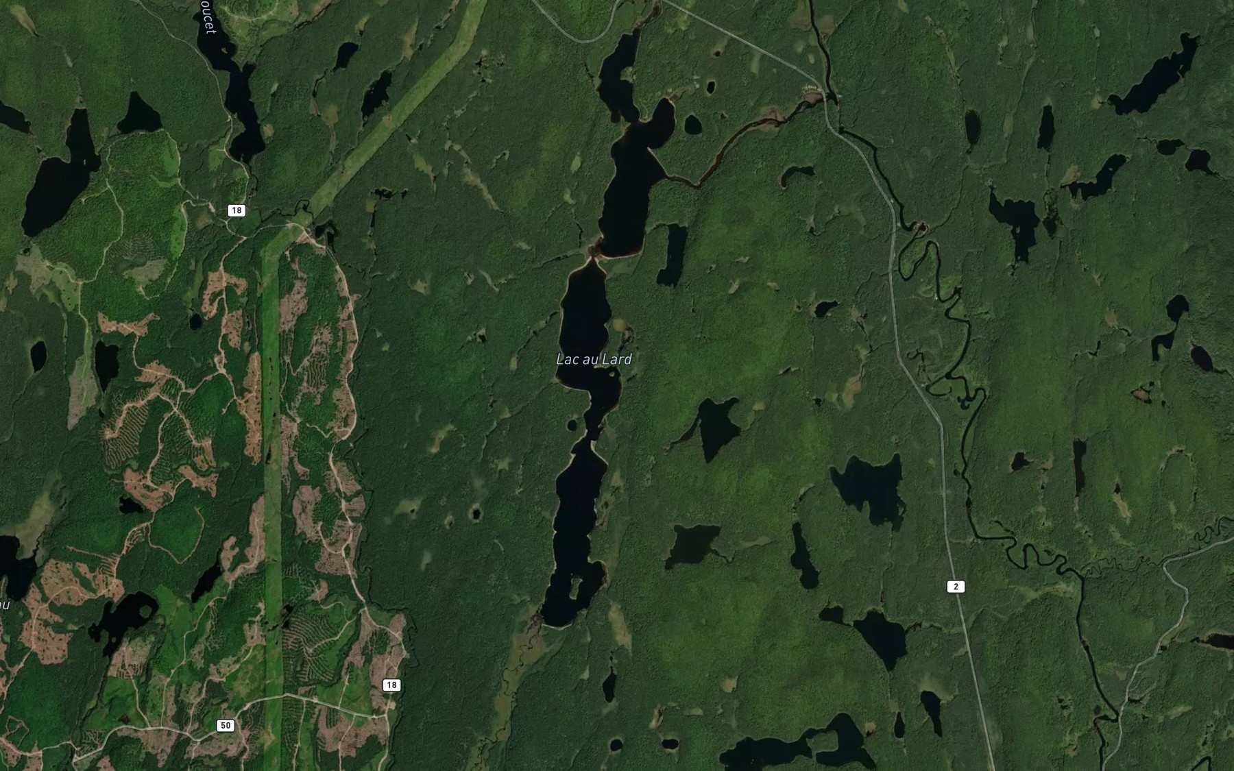 Satellite map of the Lac au Lard