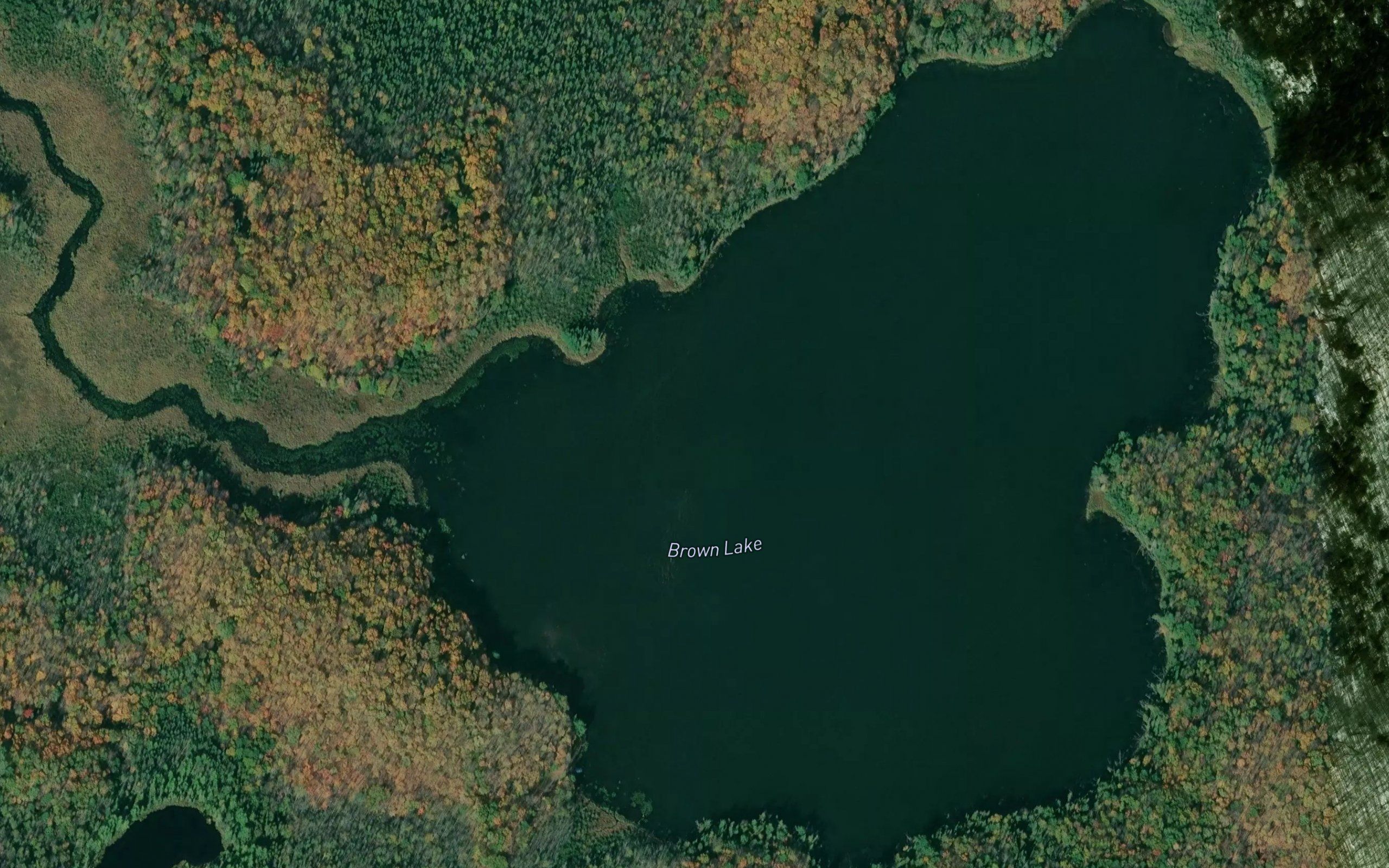 Brown Lake