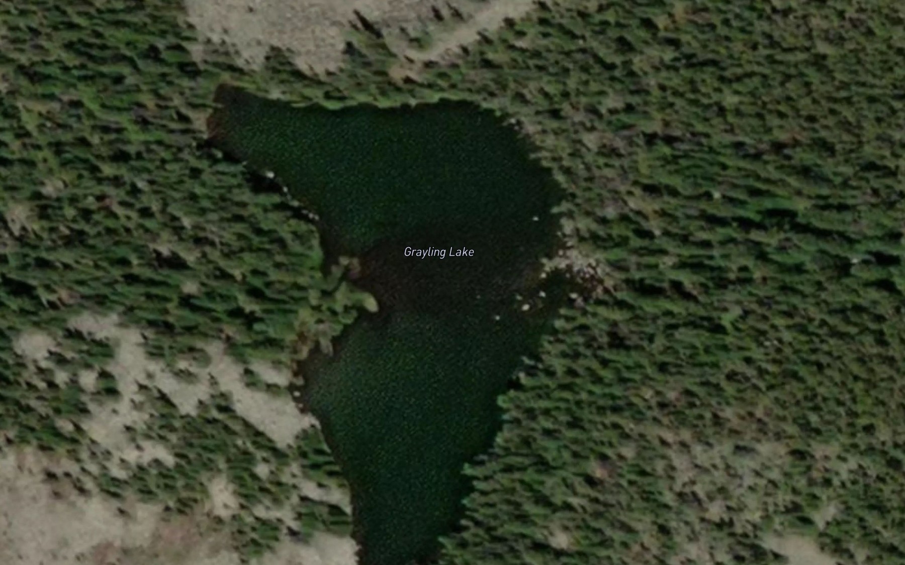 Satellite map of the Grayling Lake