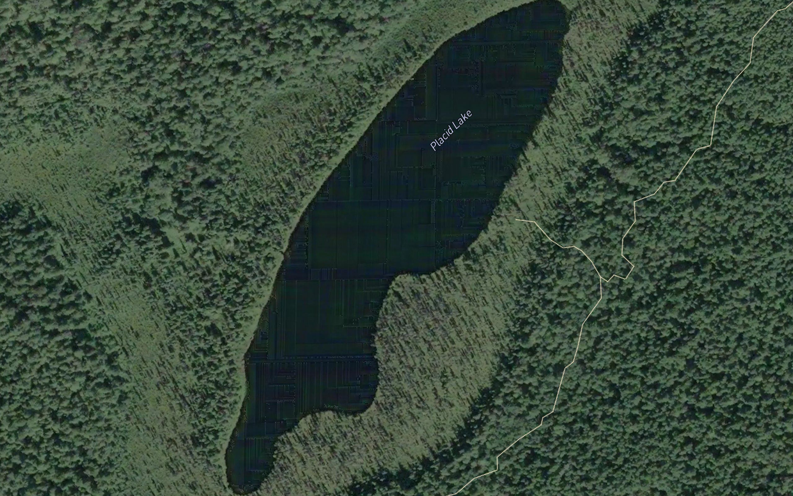 Placid Lake