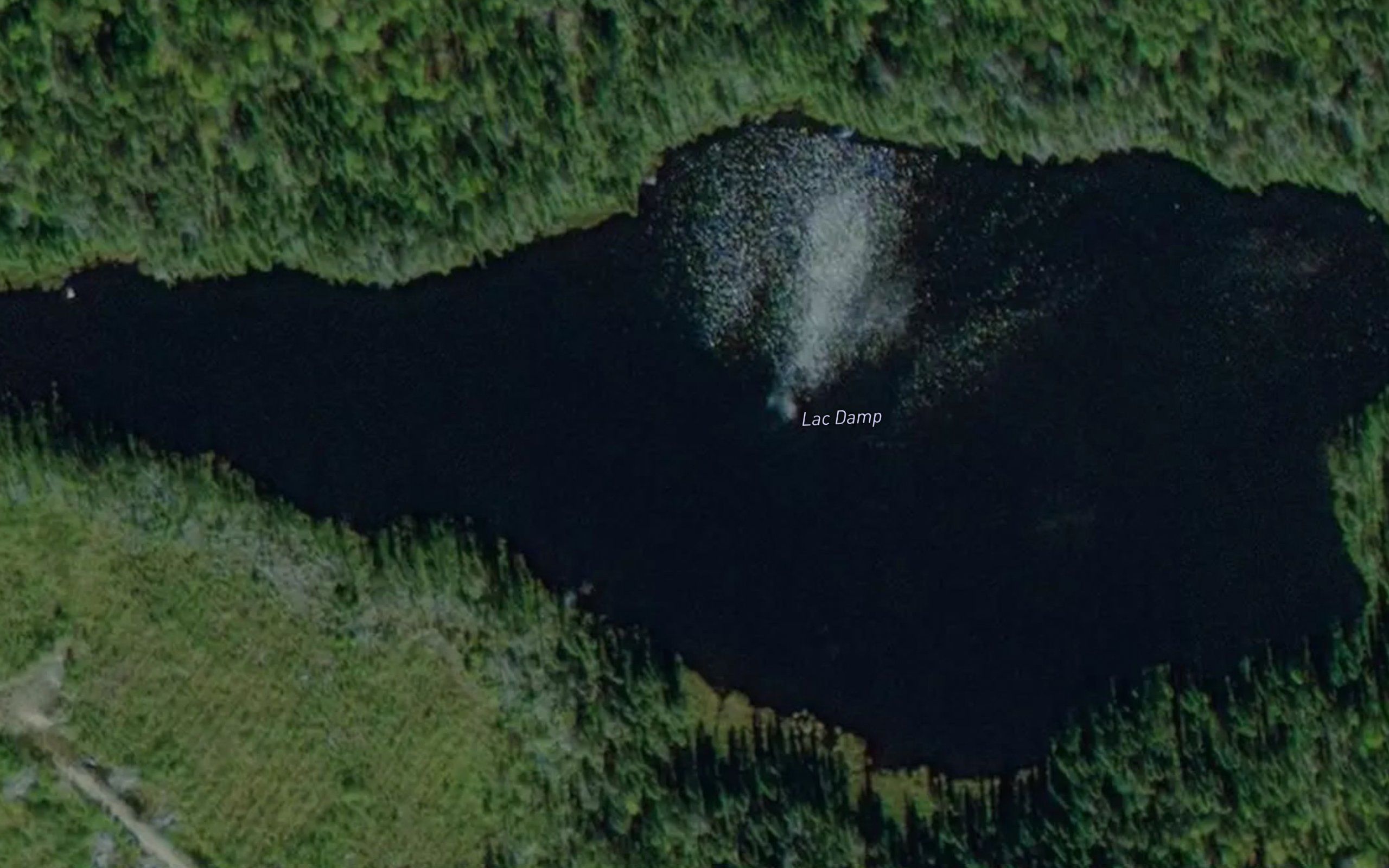 Lac Damp