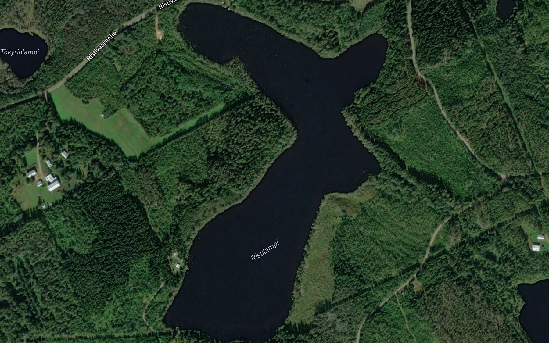 Satellite map of the Ristilampi
