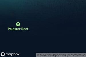 Palaster Reef