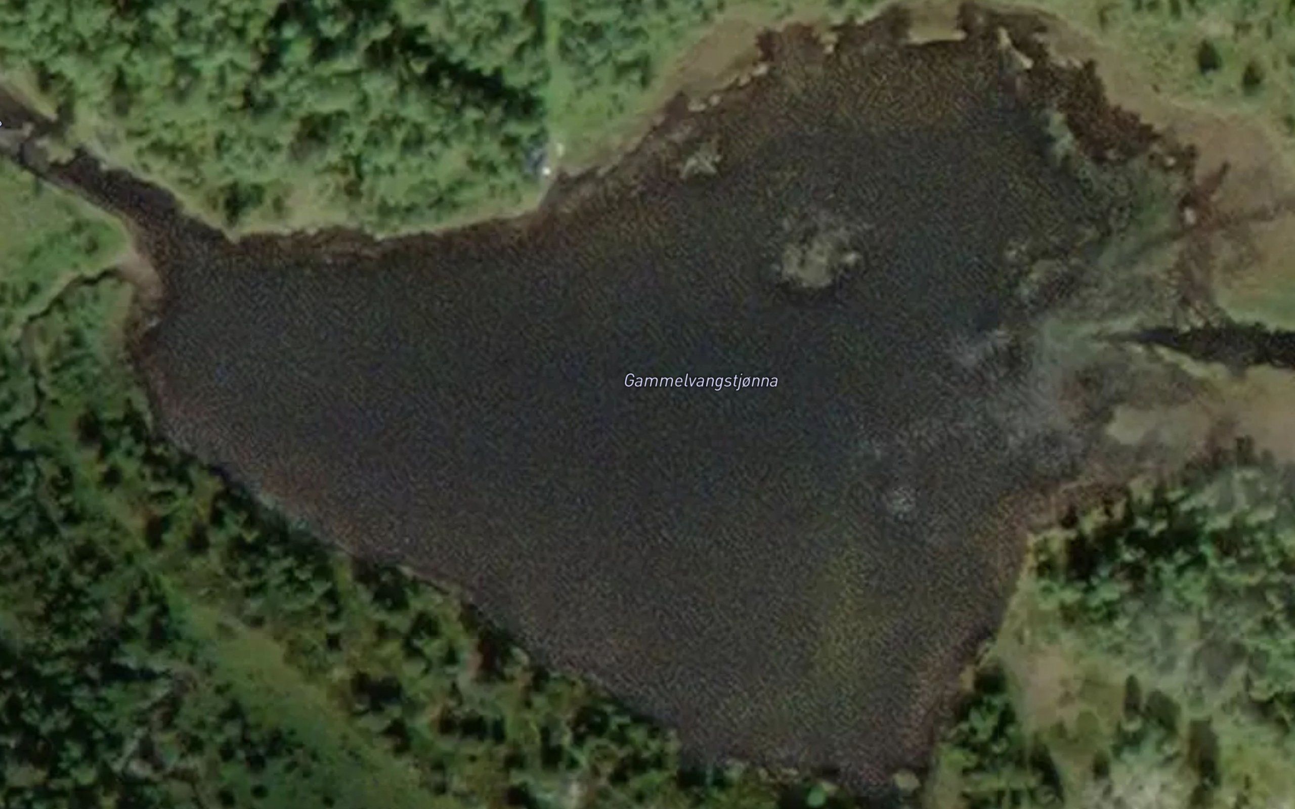 Gammelvangstjonna