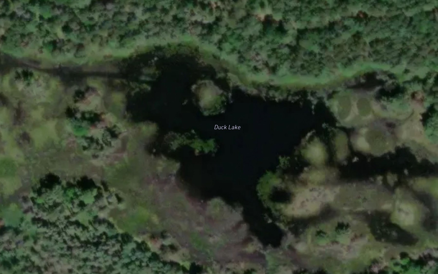 Satellite map of the Duck Lake