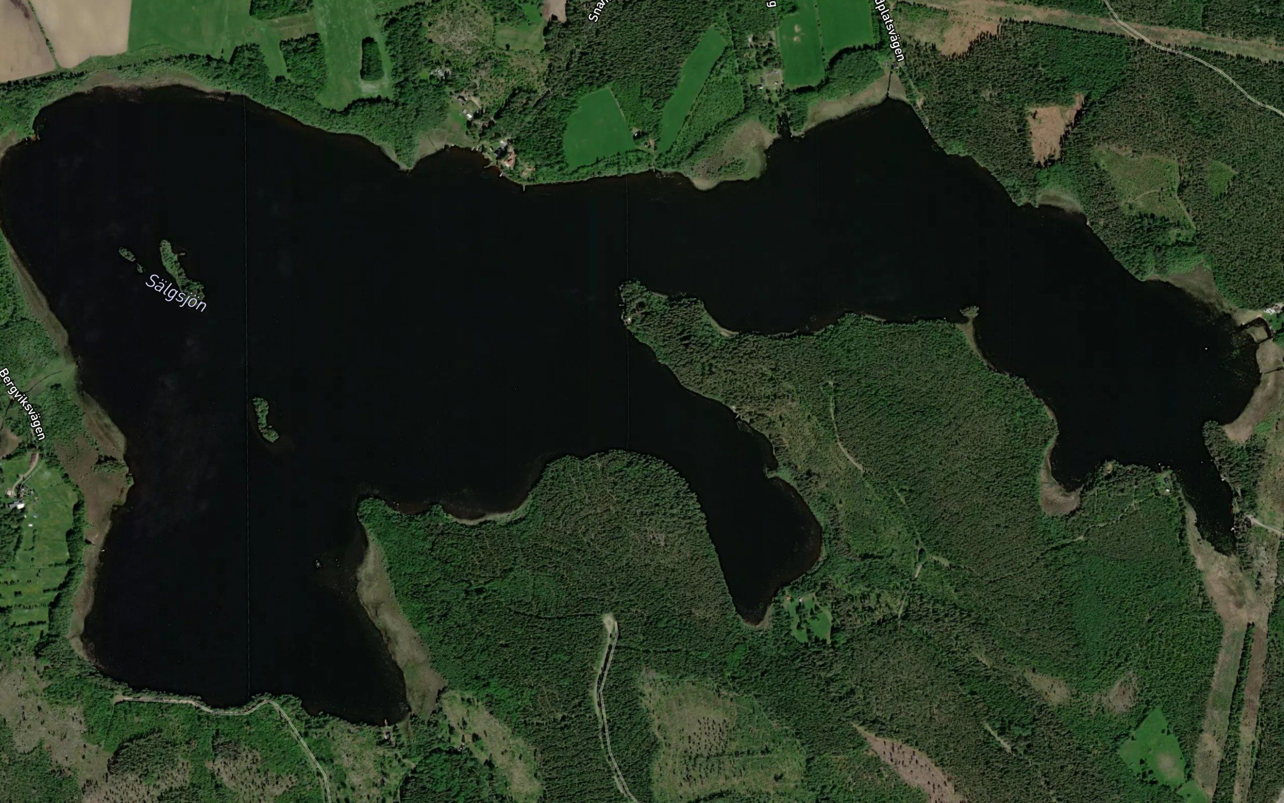 Saelgsjoen