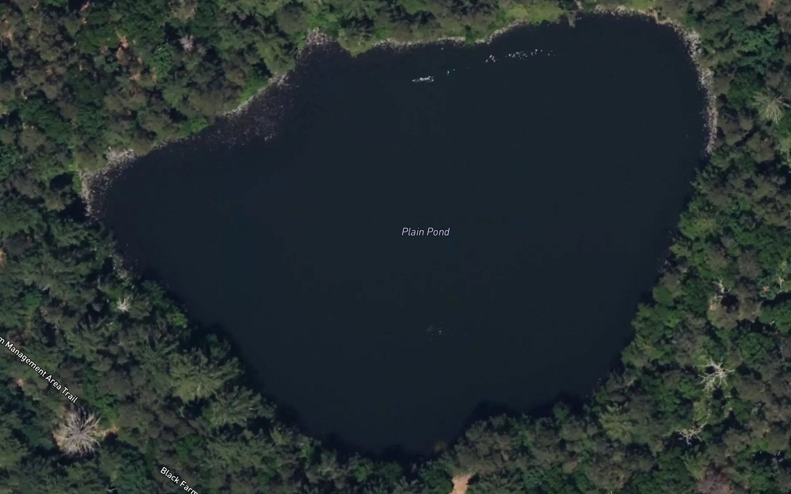 Plain Pond