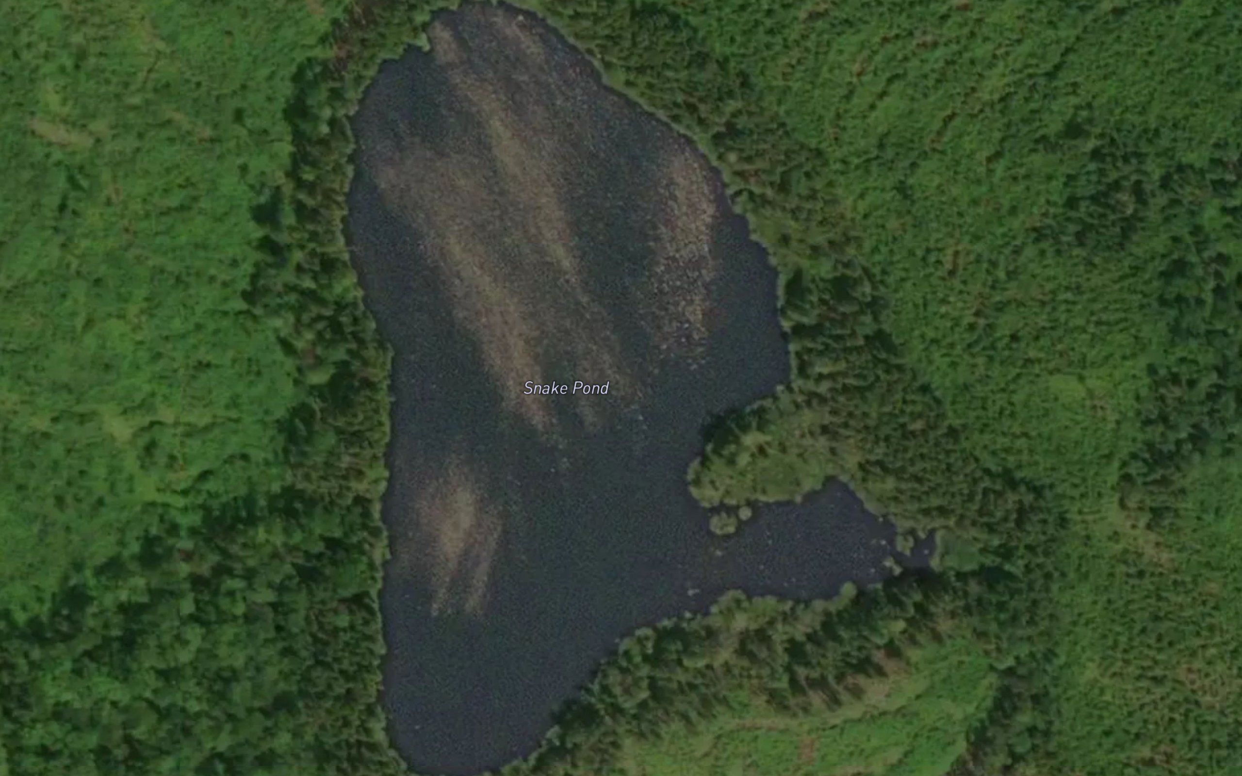 Snake Pond