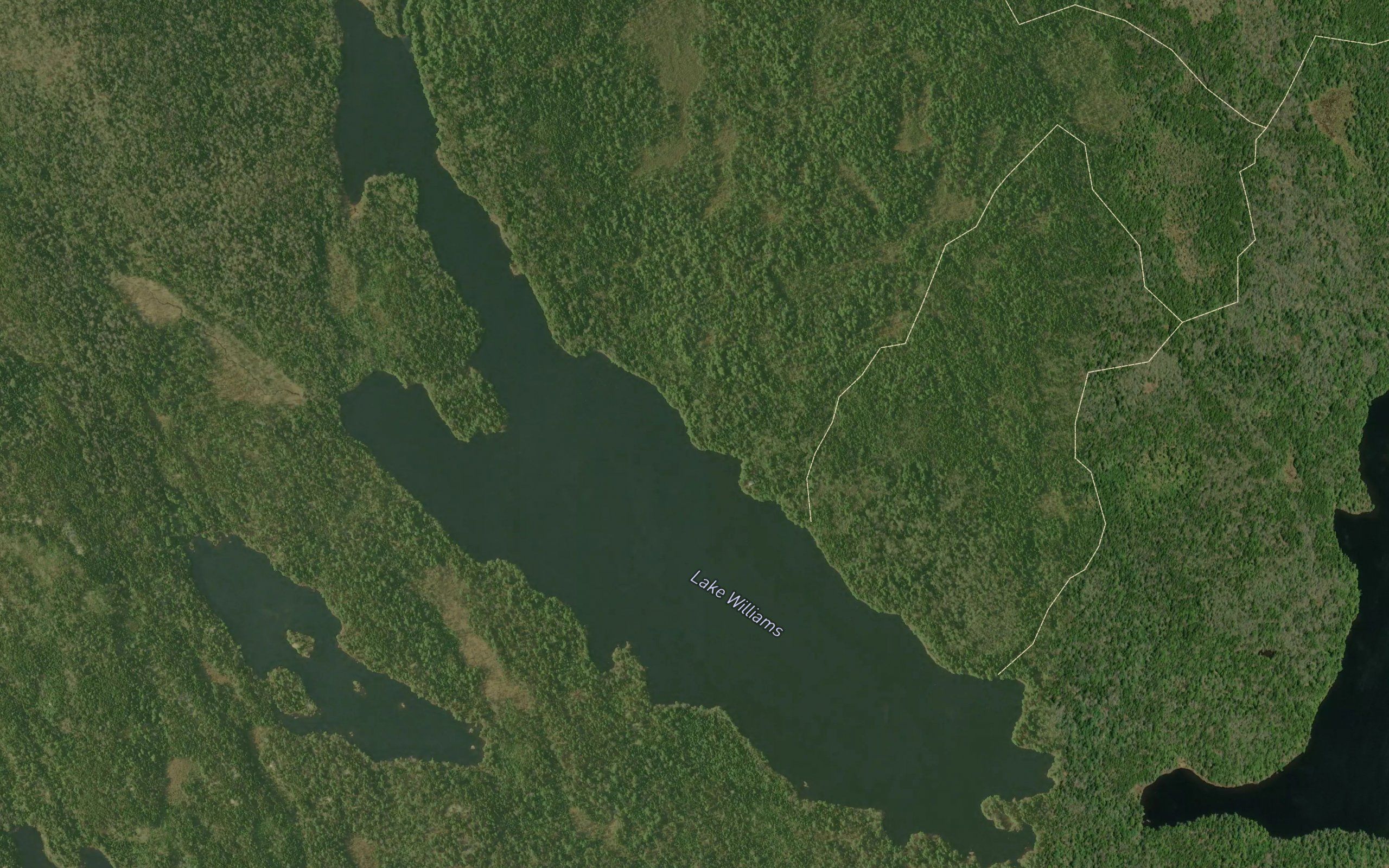 Lake Williams