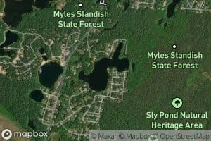 Kings Pond