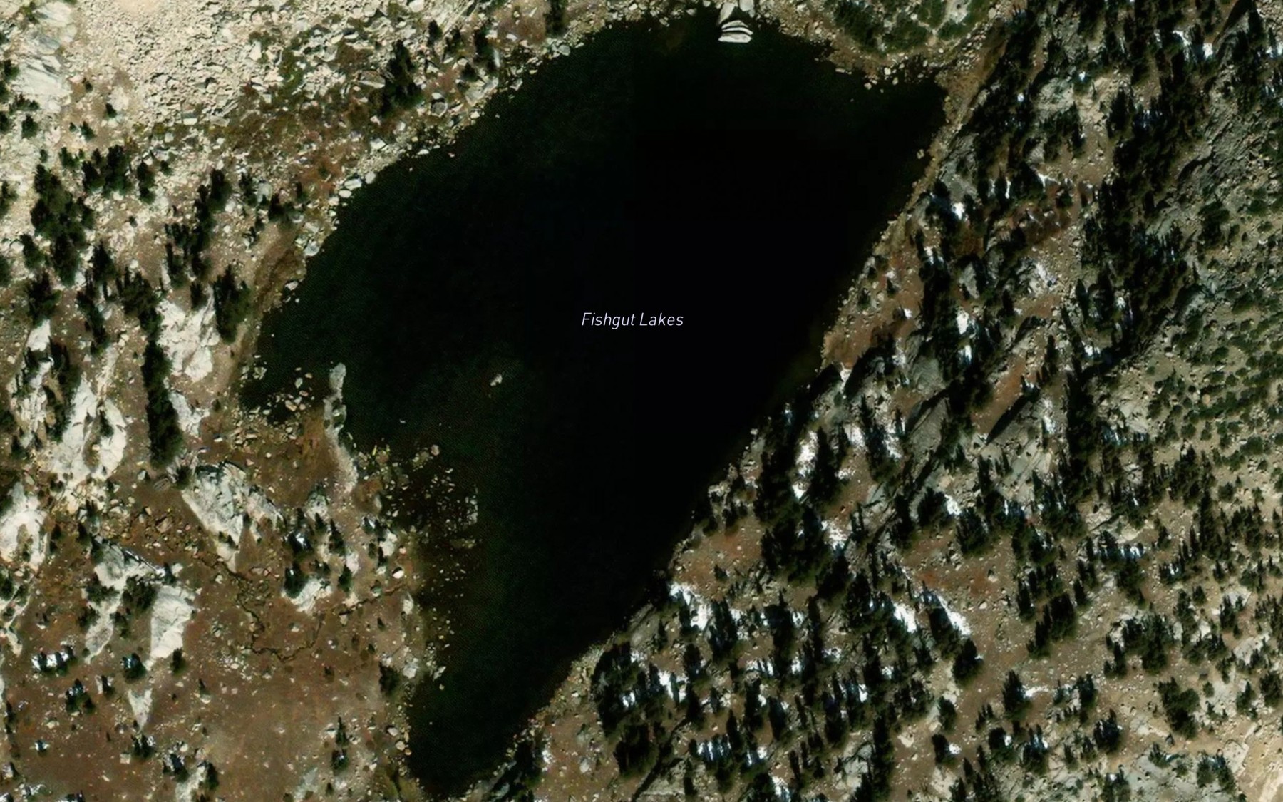 Satellite map of the Fishgut Lakes