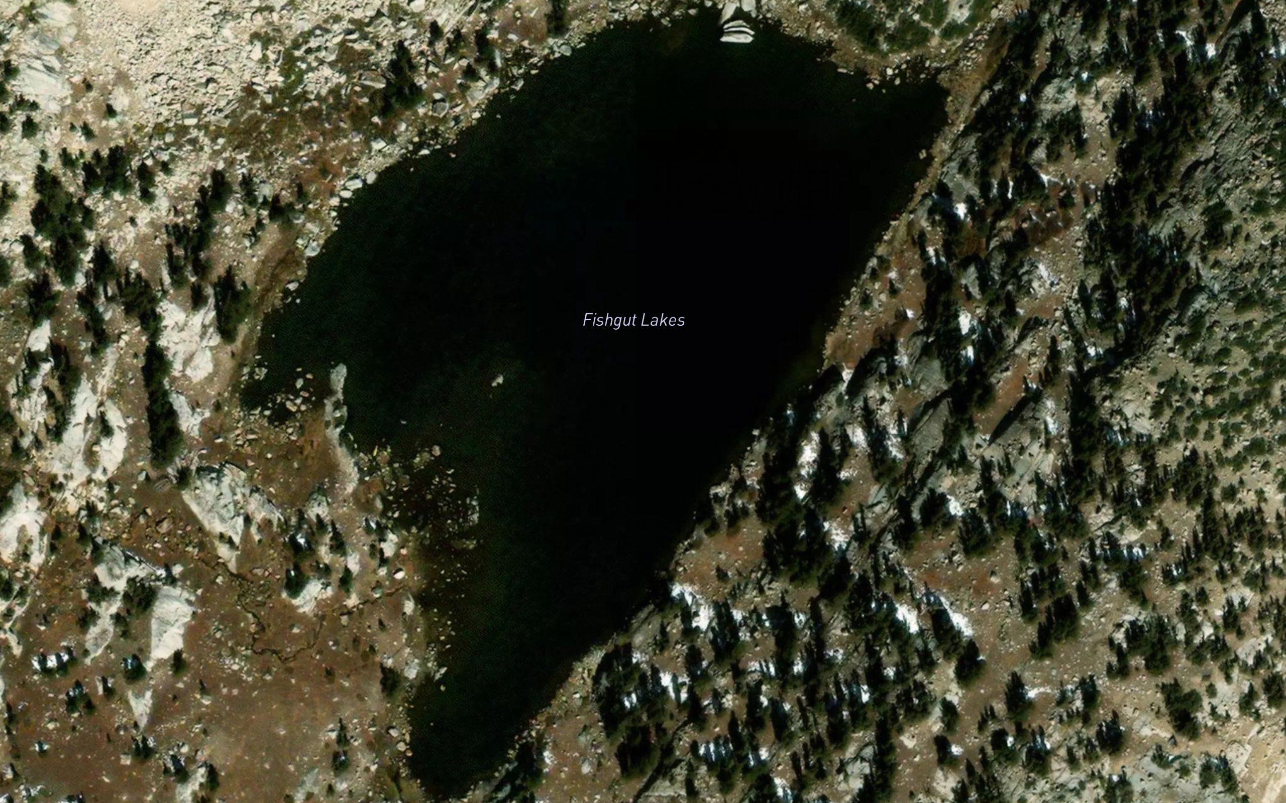 Fishgut Lakes
