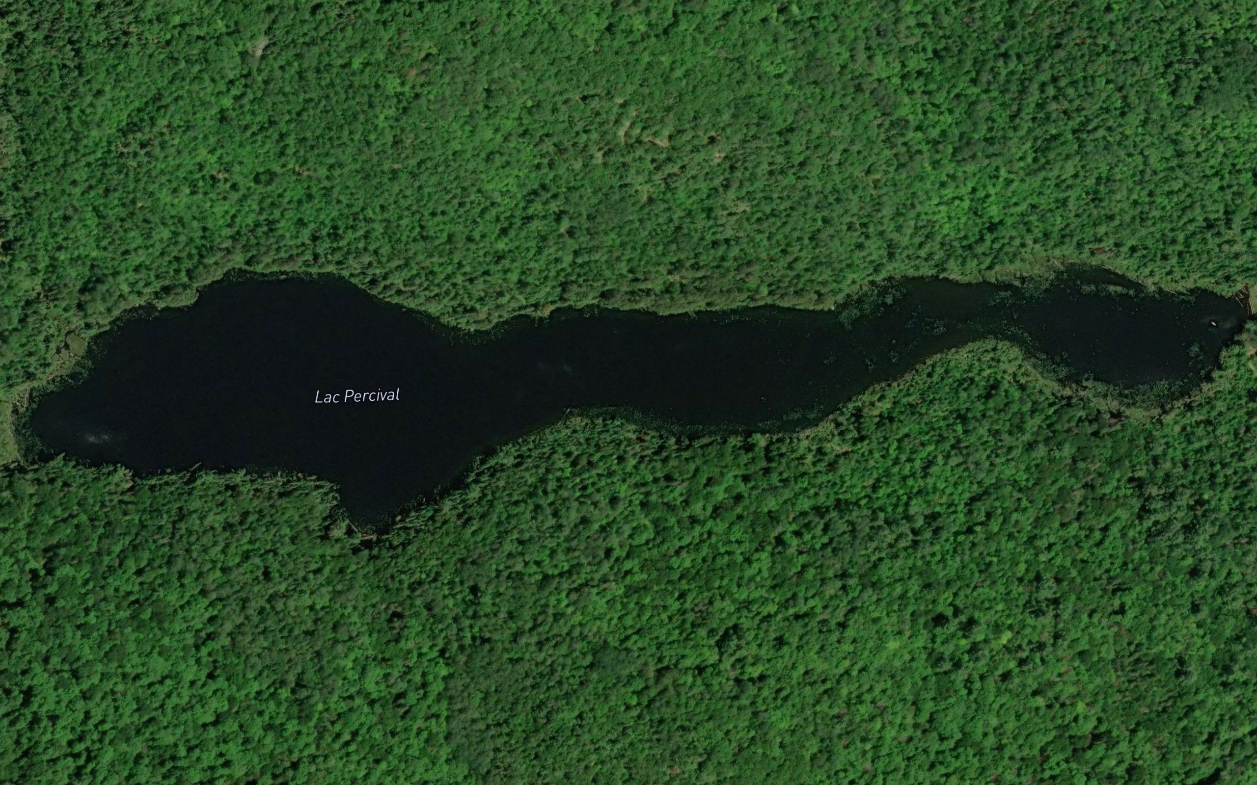 Lac Percival