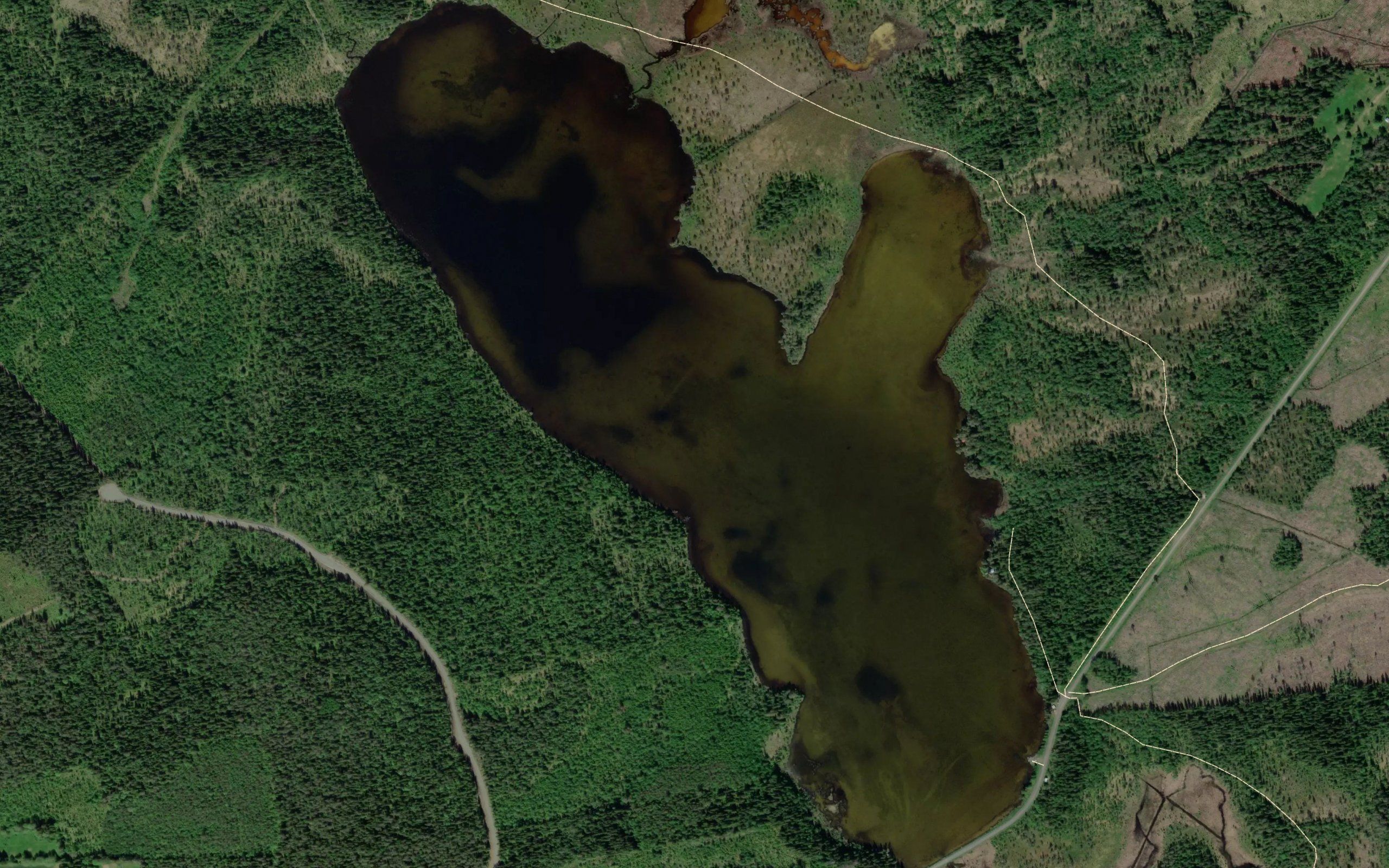 Norderassjon
