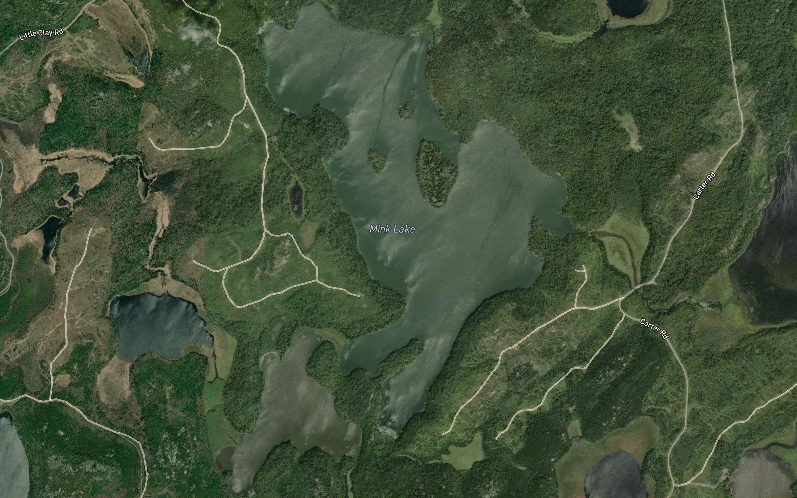 Mink Lake