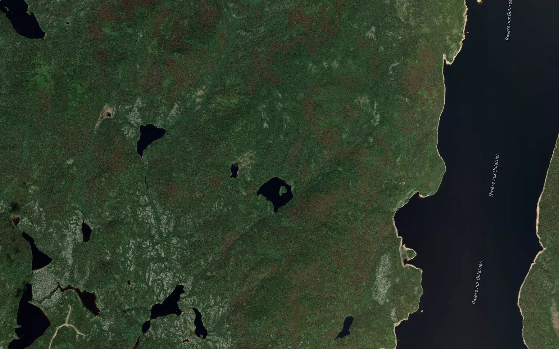 Satellite map of the Lac de la Bonne Annee