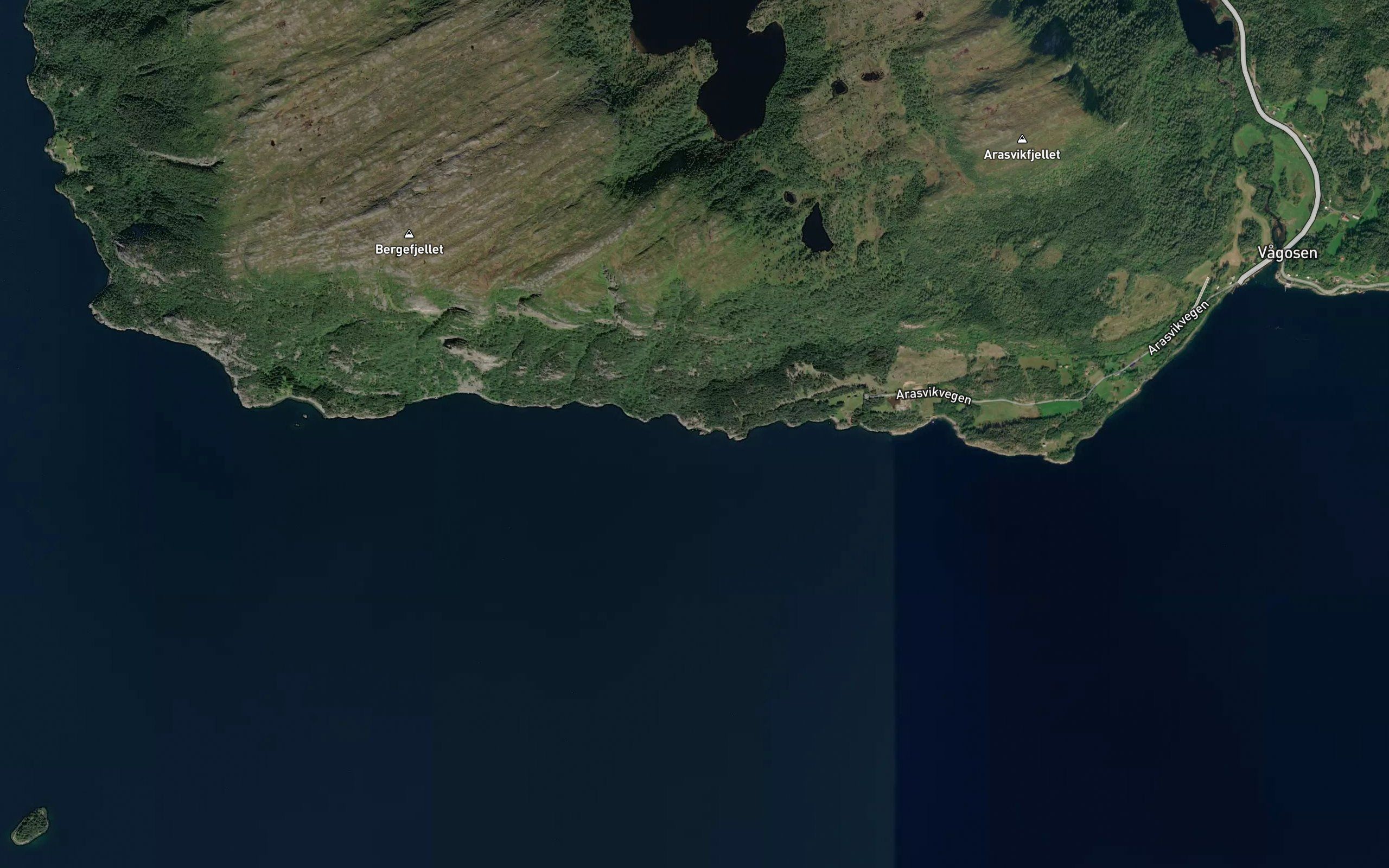 Skjerjevika