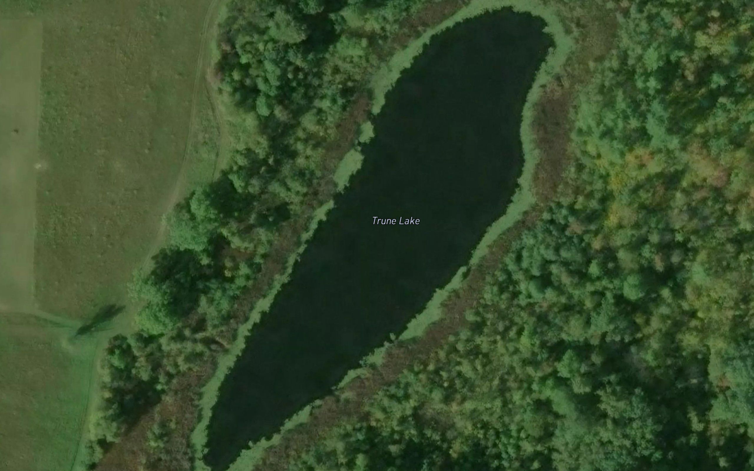 Trune Lake