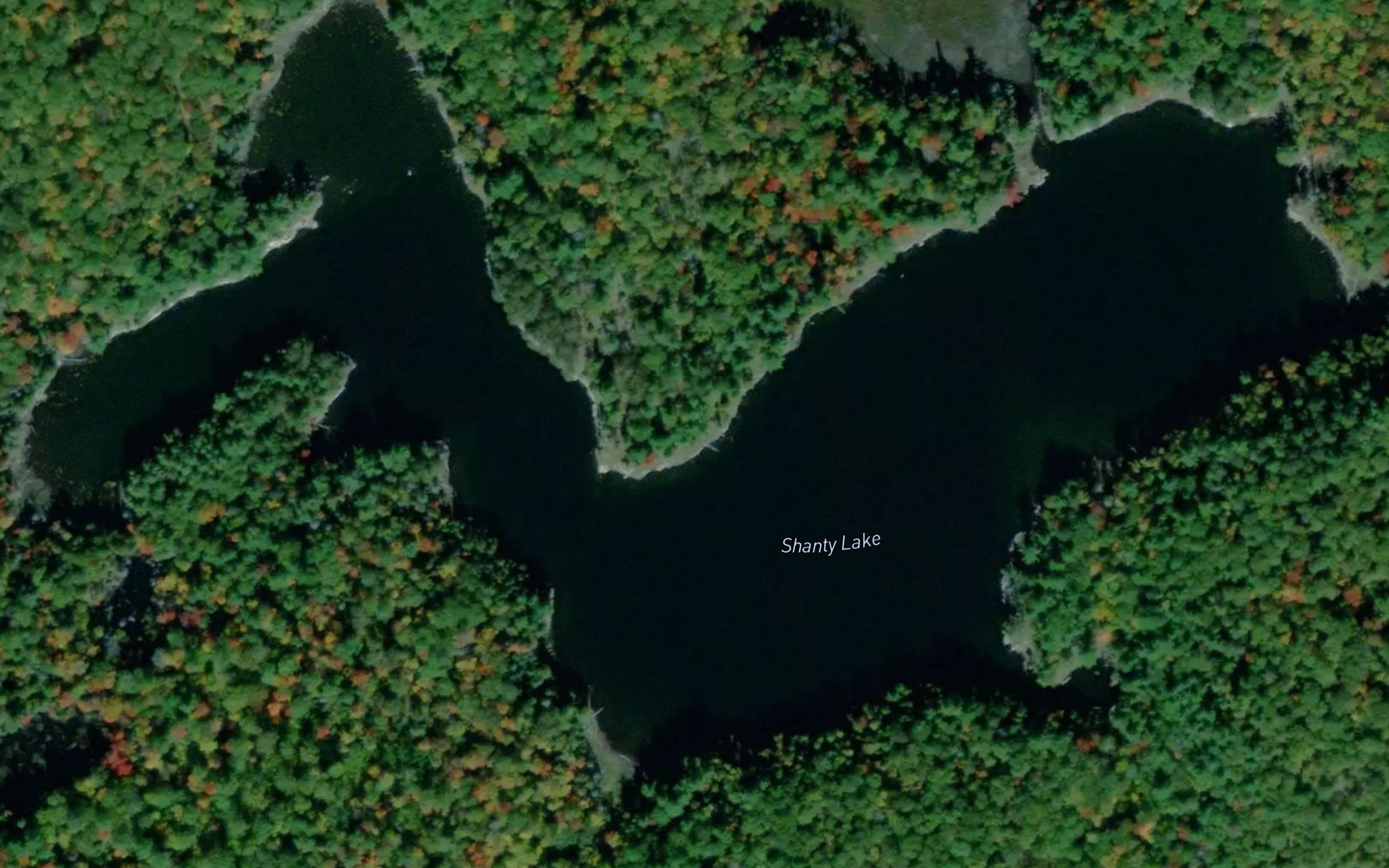 Shanty Lake