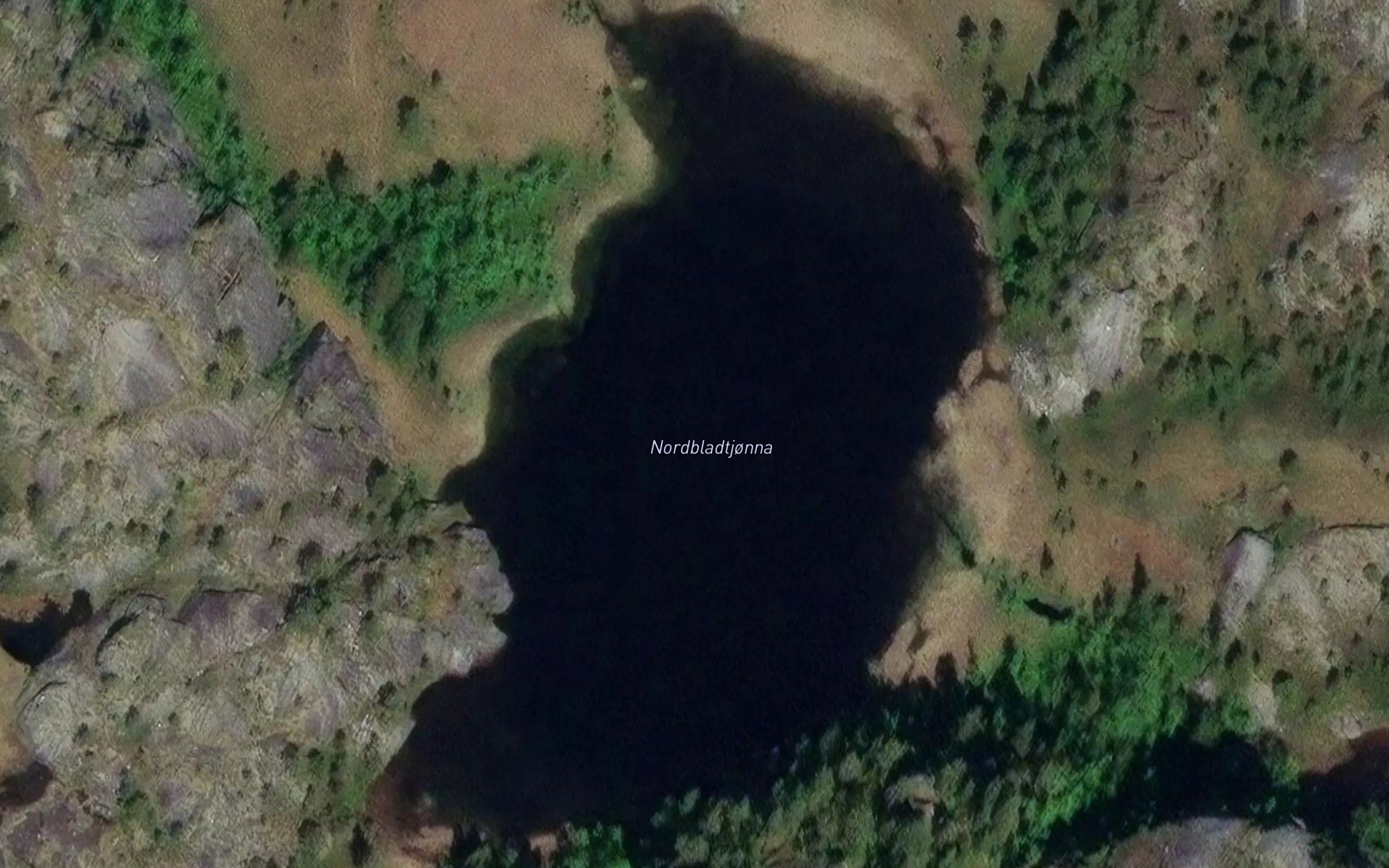 Nordbladtjonna