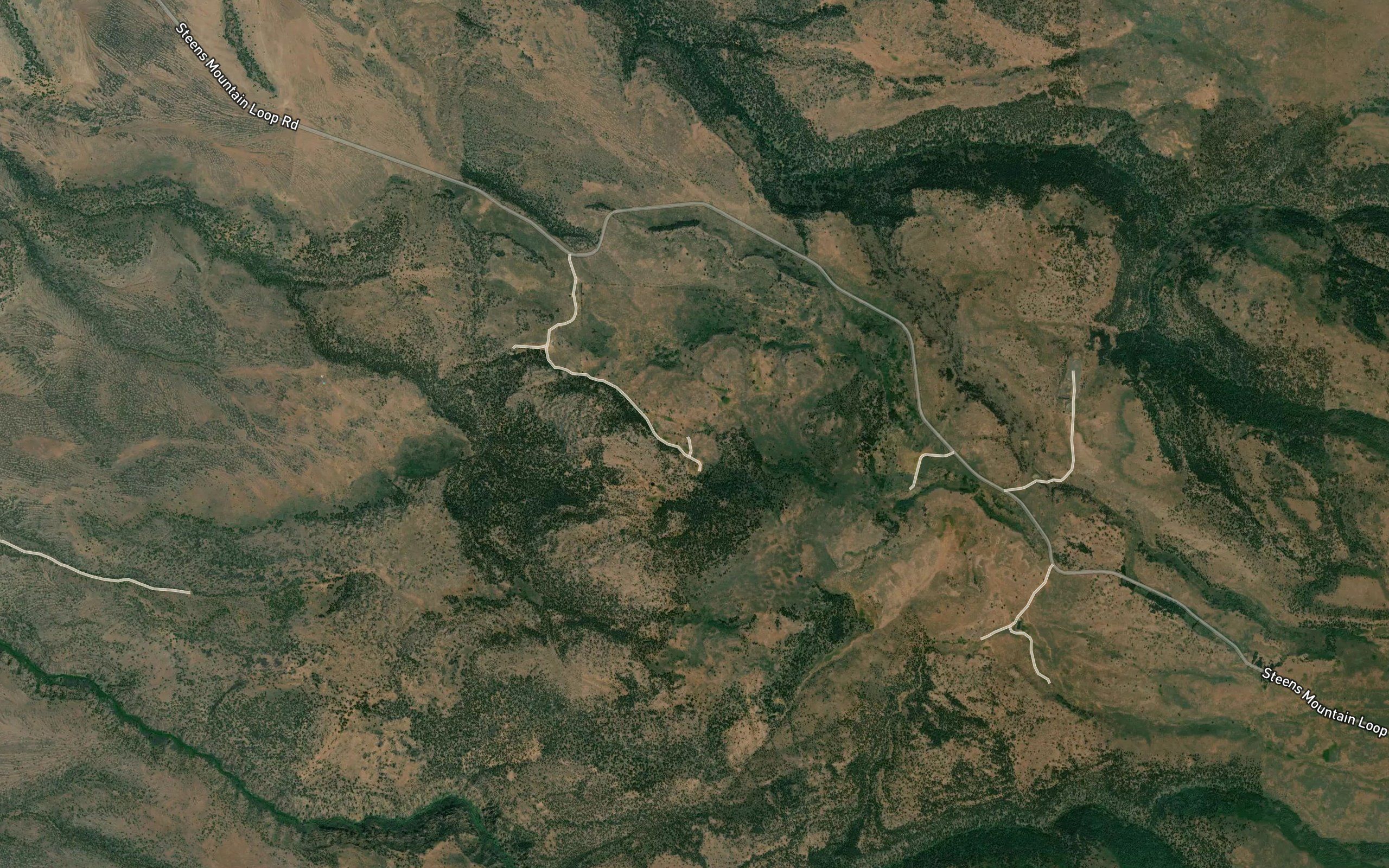 Frazier Spring