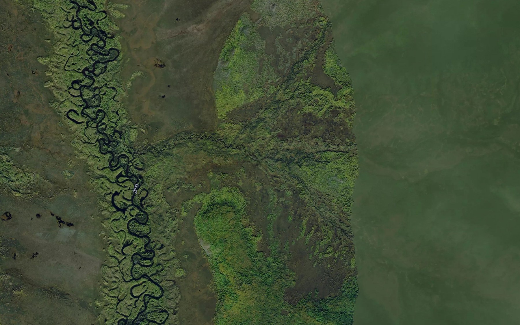 Satellite map of the Mokhovoy
