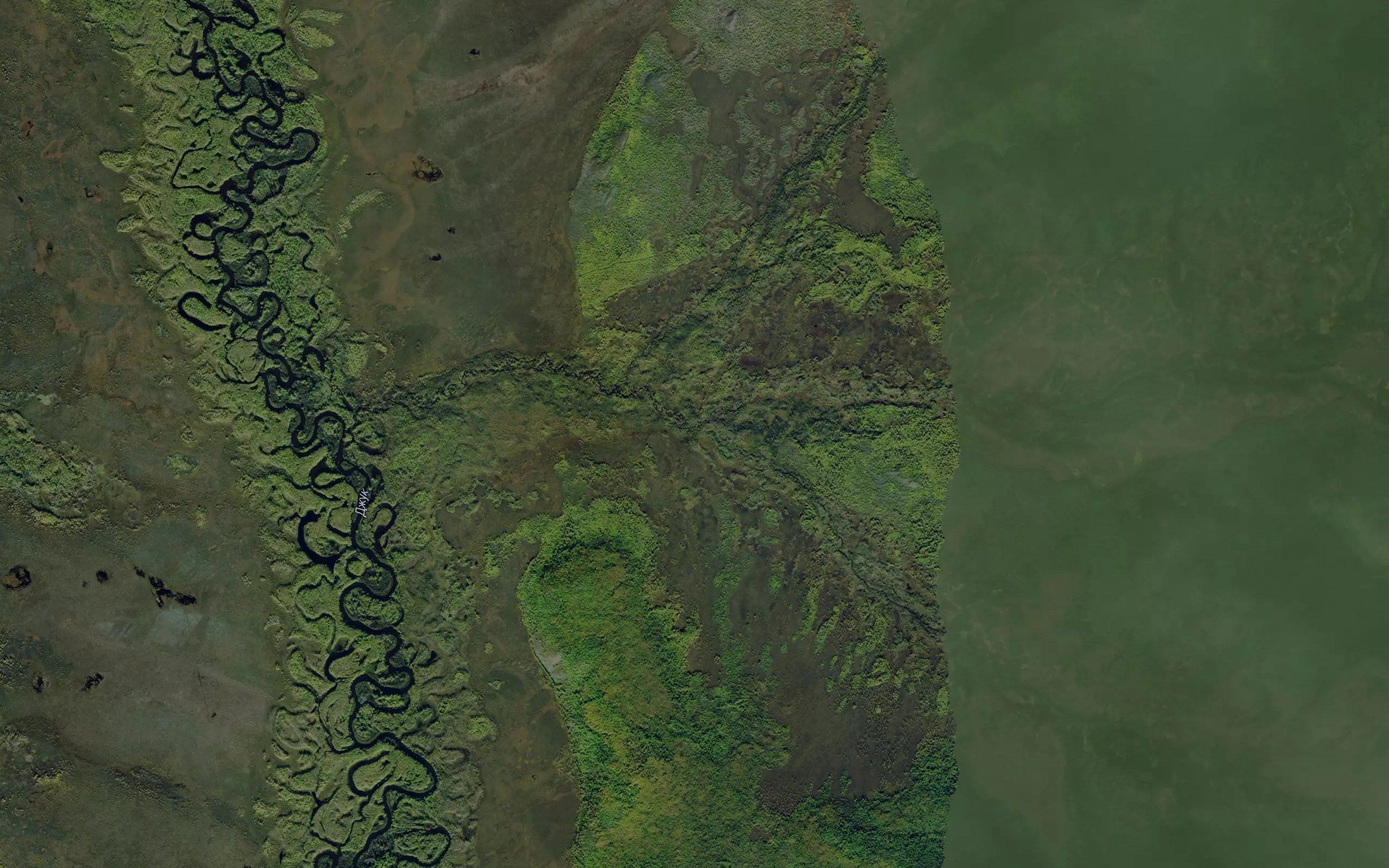 Mokhovoy
