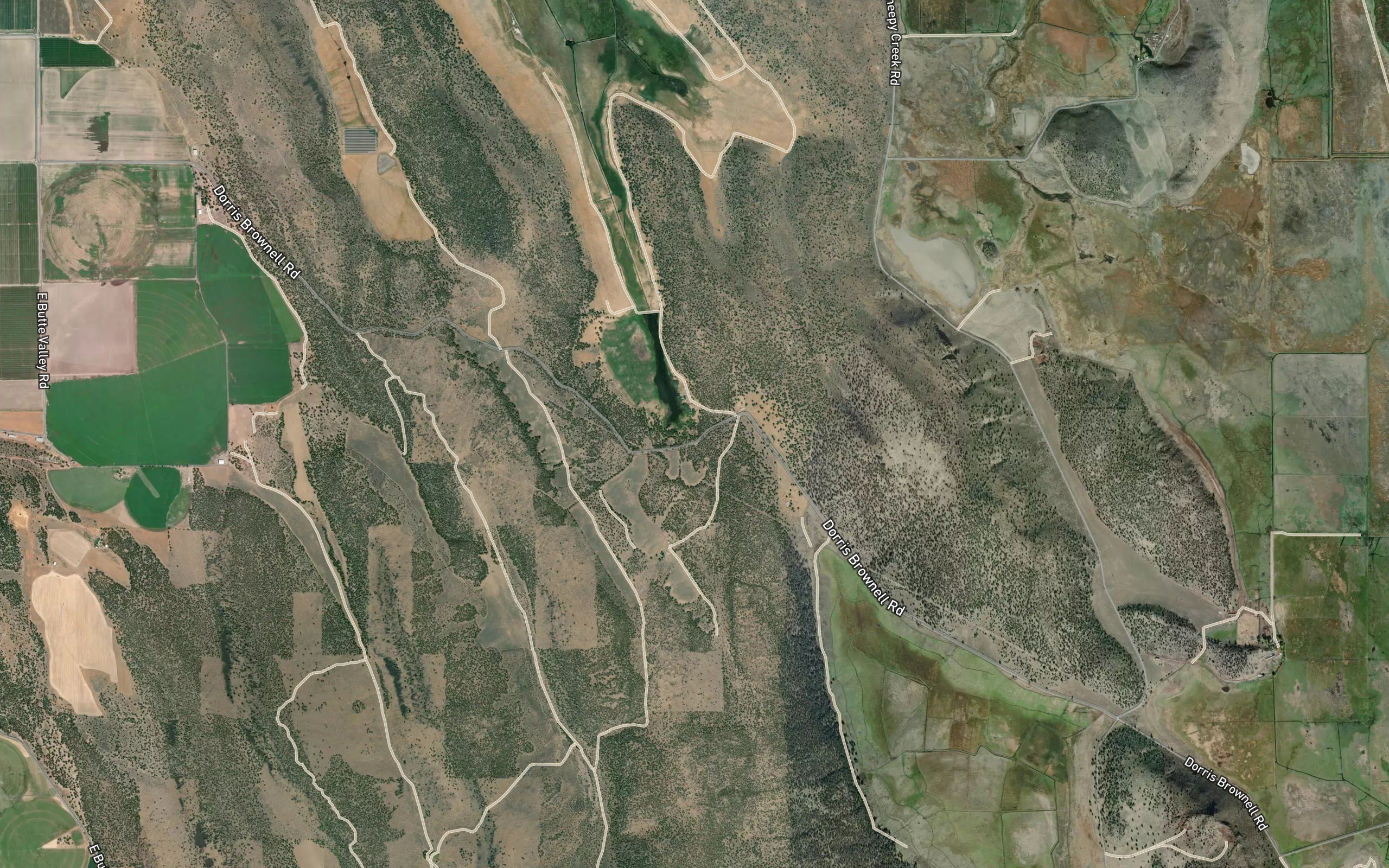 D Ranch Spring