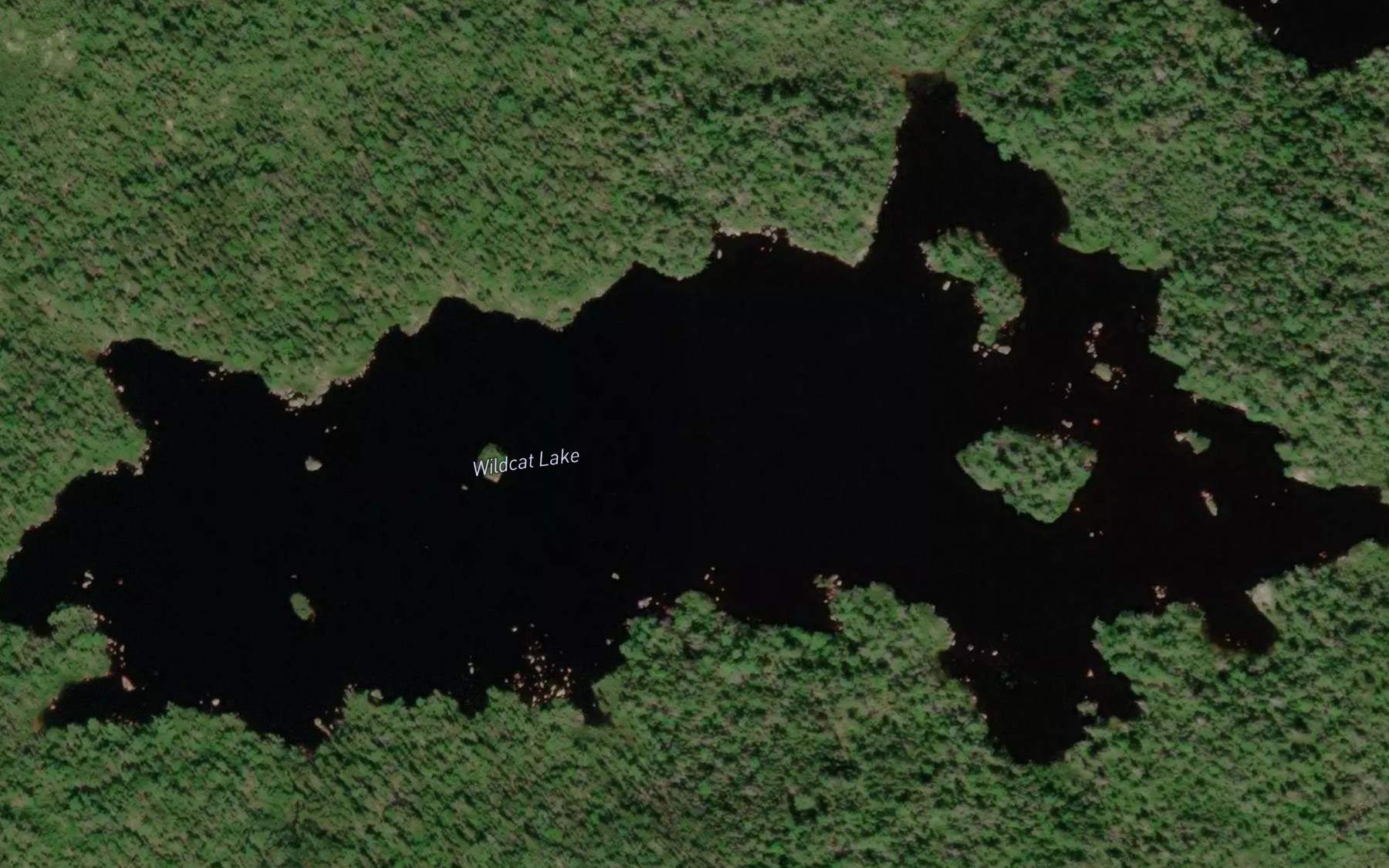 Satellite map of the Wildcat Lake