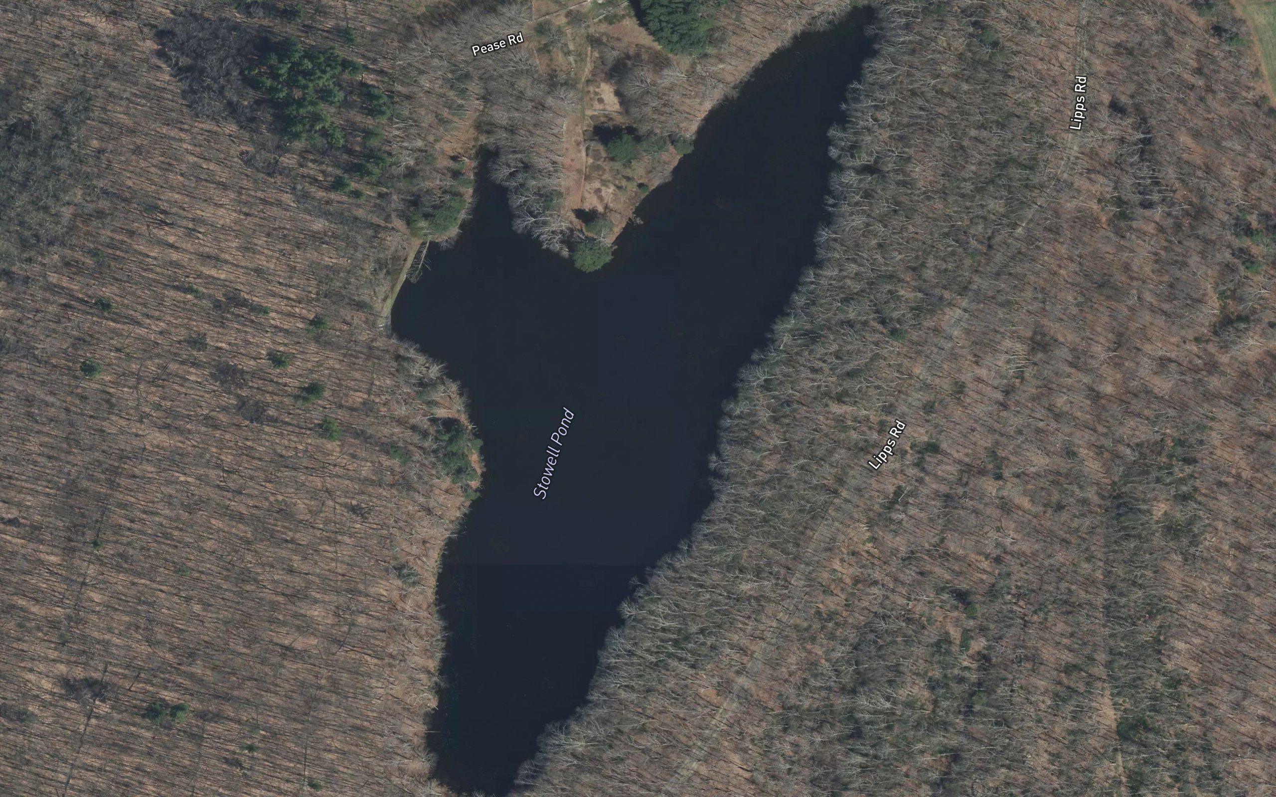 Stowell Pond