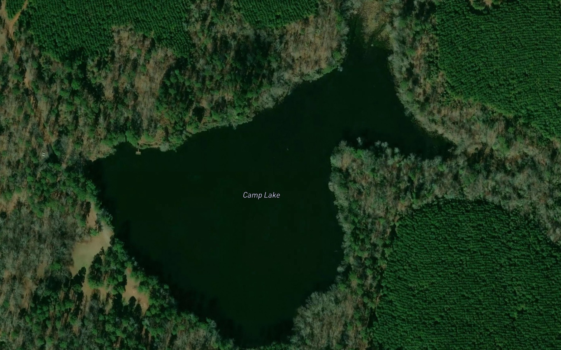 Satellite map of the Camp Lake