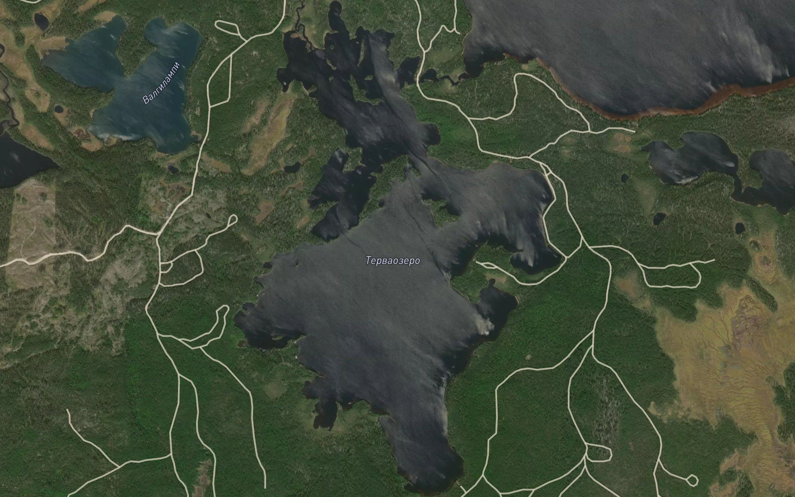Tervaozero