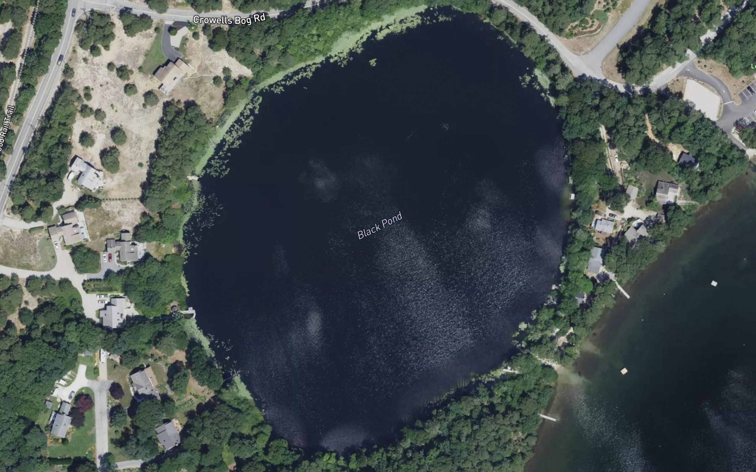 Black Pond